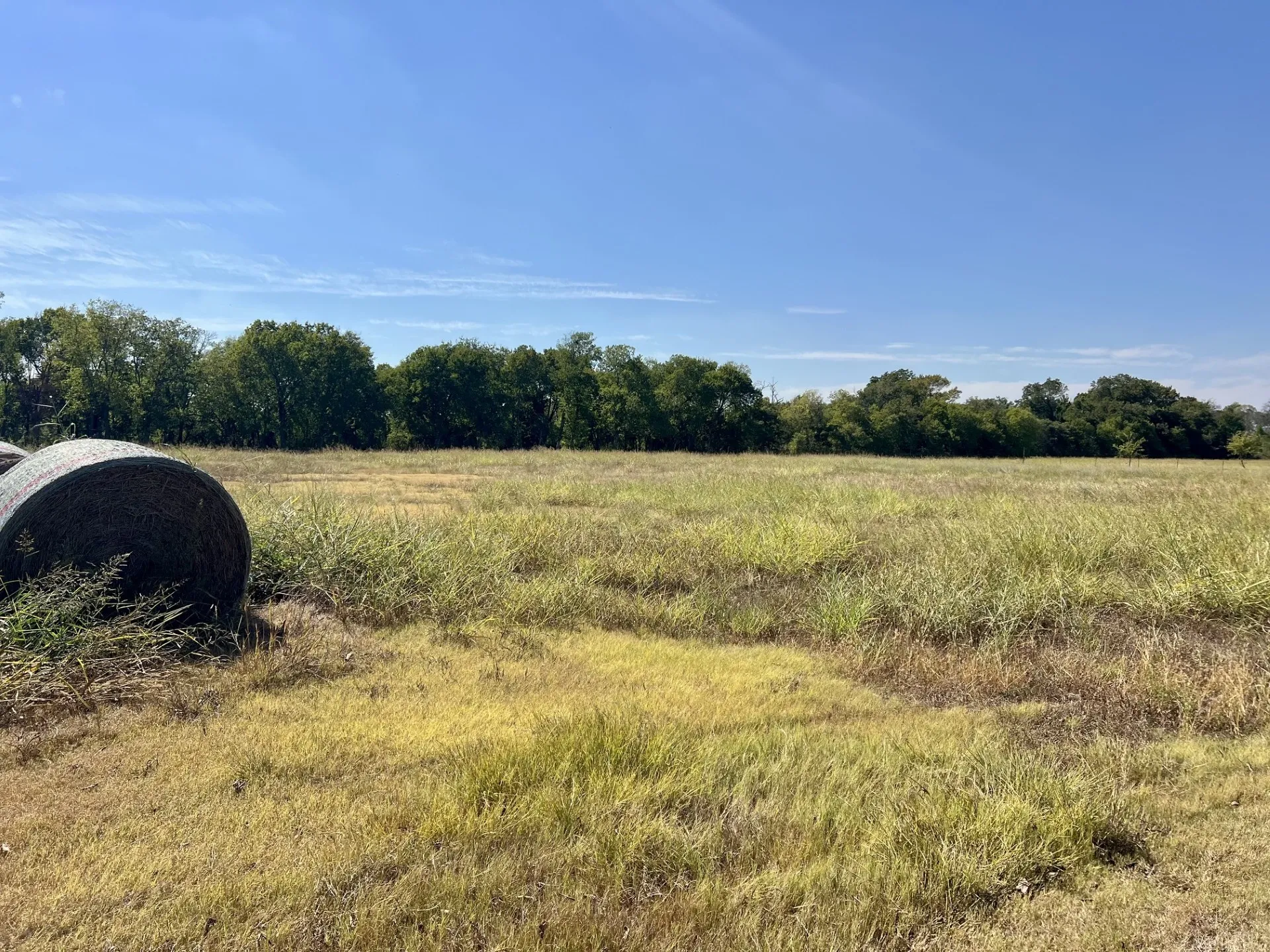 Unimproved Land For Sale in Mc Lennan County , TBD Jasmine Lane Lane, Waco, Texas 76706, 0, 0, Garage spaces, 0 Sqft, built in 0, mls#21397439, Real Estate Agent in Waco, Homes For Sale in Mc Lennan county, Homes For Sale in Waco, Realtor in Waco Texas, Real Estate Brokerage Independent Realty Texas, Luminita Cordes Realtor