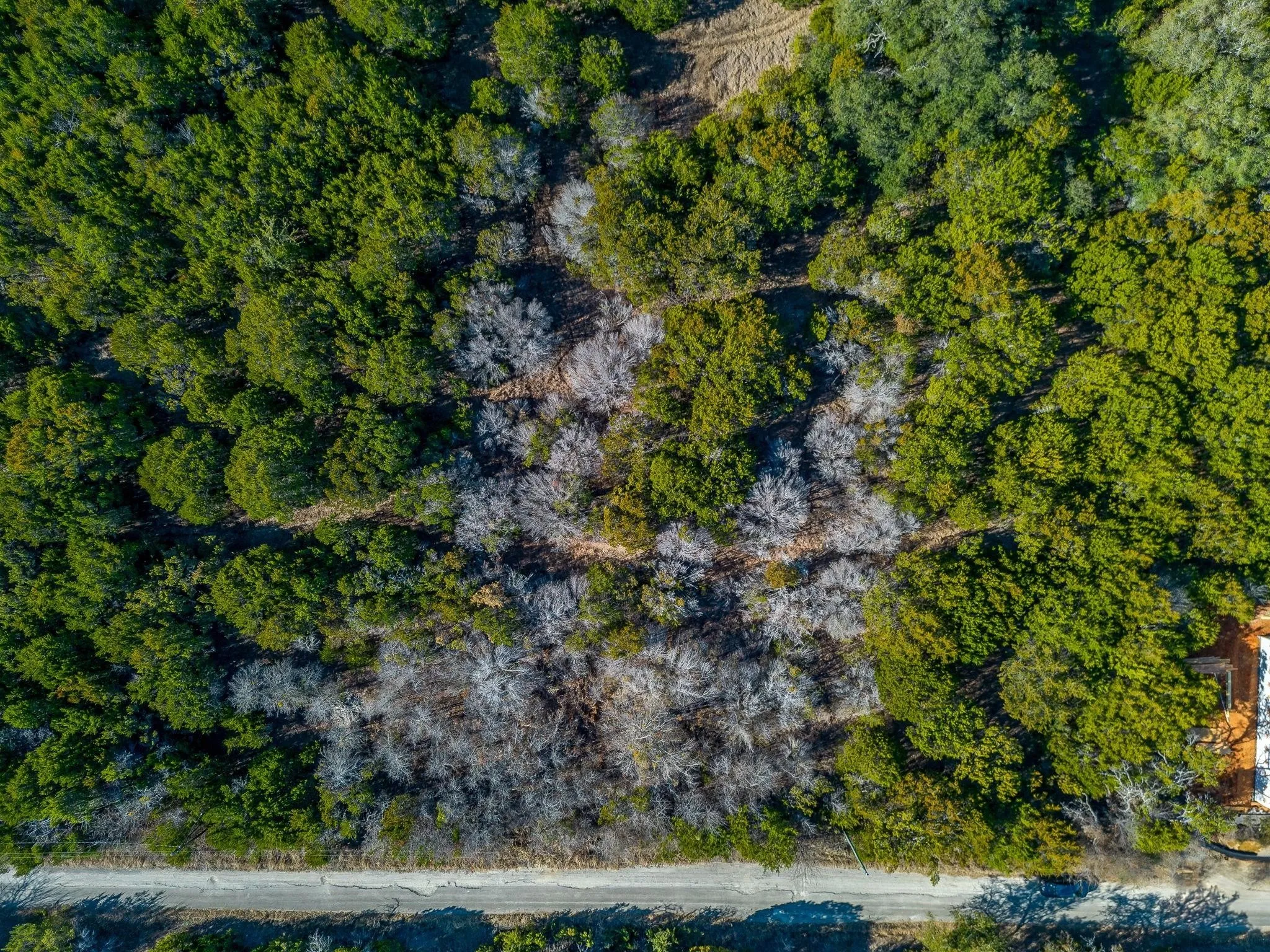 Unimproved Land For Sale in Hood County , 4626 Evening View Drive, Granbury, Texas 76048, 0, 0, Garage spaces, 0 Sqft, built in 0, mls#21397481, Real Estate Agent in Granbury, Homes For Sale in Hood county, Homes For Sale in Granbury, Realtor in Granbury Texas, Real Estate Brokerage Independent Realty Texas, Luminita Cordes Realtor