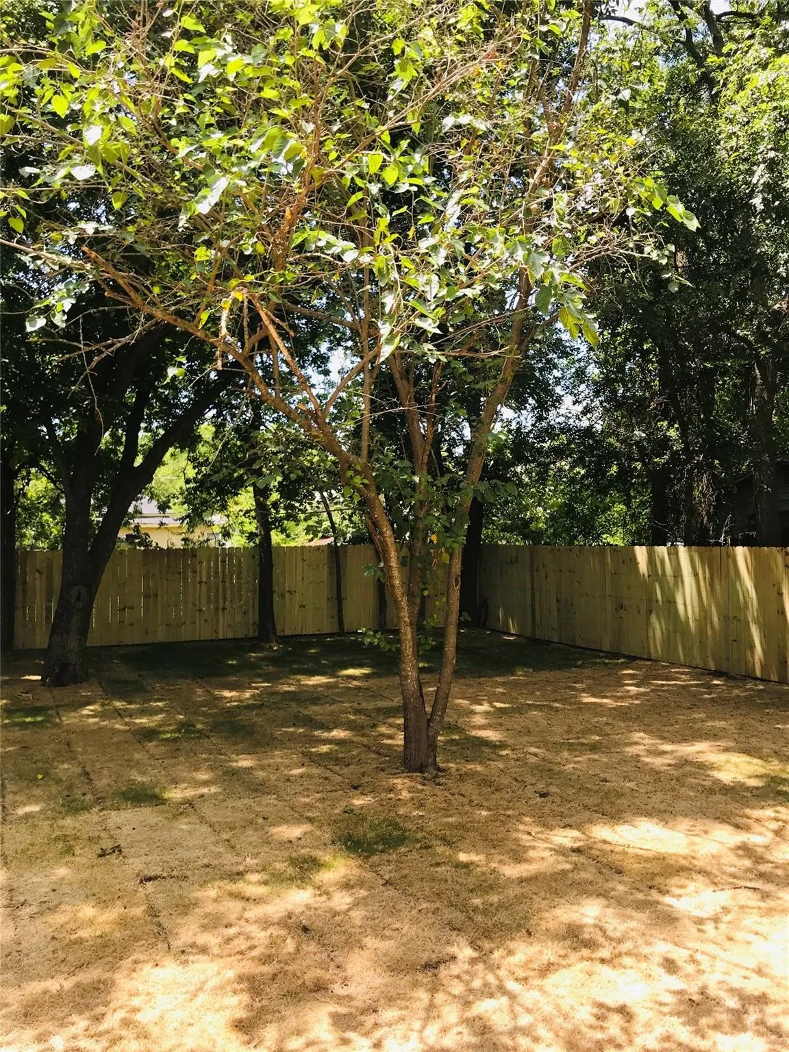 Single Family Residence For Rent in Hunt County , 1719 Park Street, Commerce, Texas 75428, 3 Bedroom, 2 Bathroom, 1 Garage spaces, 1,400 Sqft, built in 2020, mls#21397524, Real Estate Agent in Commerce, Homes For Rent in Hunt county, Homes For Rent in Commerce, Realtor in Commerce Texas, Real Estate Brokerage Independent Realty Texas, Luminita Cordes Realtor