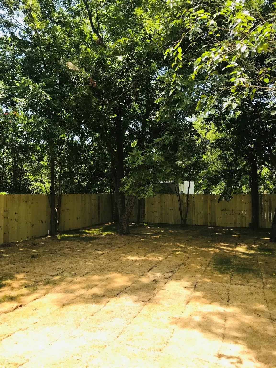 Single Family Residence For Rent in Hunt County , 1719 Park Street, Commerce, Texas 75428, 3 Bedroom, 2 Bathroom, 1 Garage spaces, 1,400 Sqft, built in 2020, mls#21397524, Real Estate Agent in Commerce, Homes For Rent in Hunt county, Homes For Rent in Commerce, Realtor in Commerce Texas, Real Estate Brokerage Independent Realty Texas, Luminita Cordes Realtor