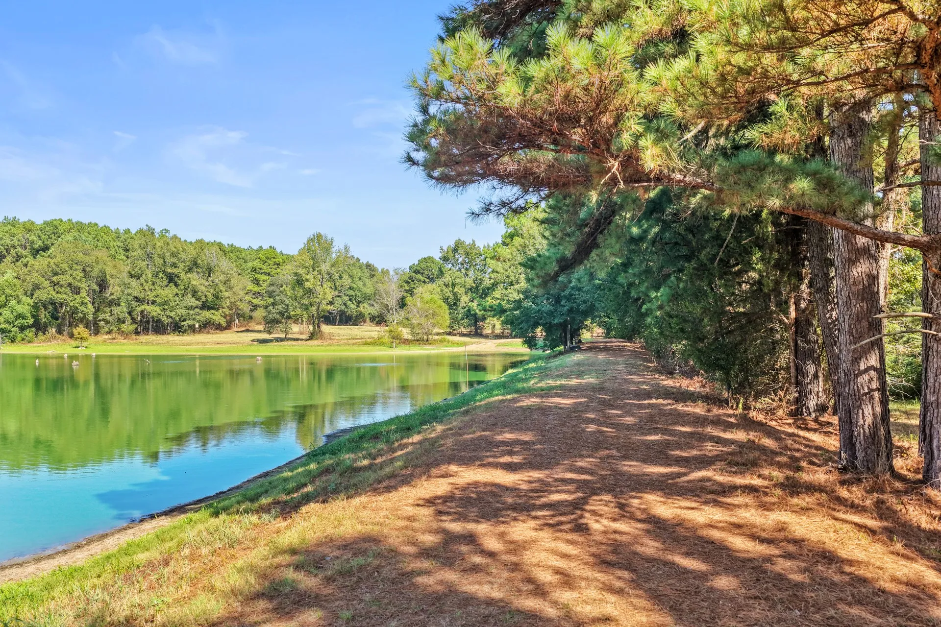Farm For Sale in Camp County , 579 FM 1522, Pittsburg, Texas 75686, 4 Bedroom, 4 Bathroom, 2 Garage spaces, 2,849 Sqft, built in 1972, mls#21396295, Real Estate Agent in Pittsburg, Homes For Sale in Camp county, Homes For Sale in Pittsburg, Realtor in Pittsburg Texas, Real Estate Brokerage Independent Realty Texas, Luminita Cordes Realtor