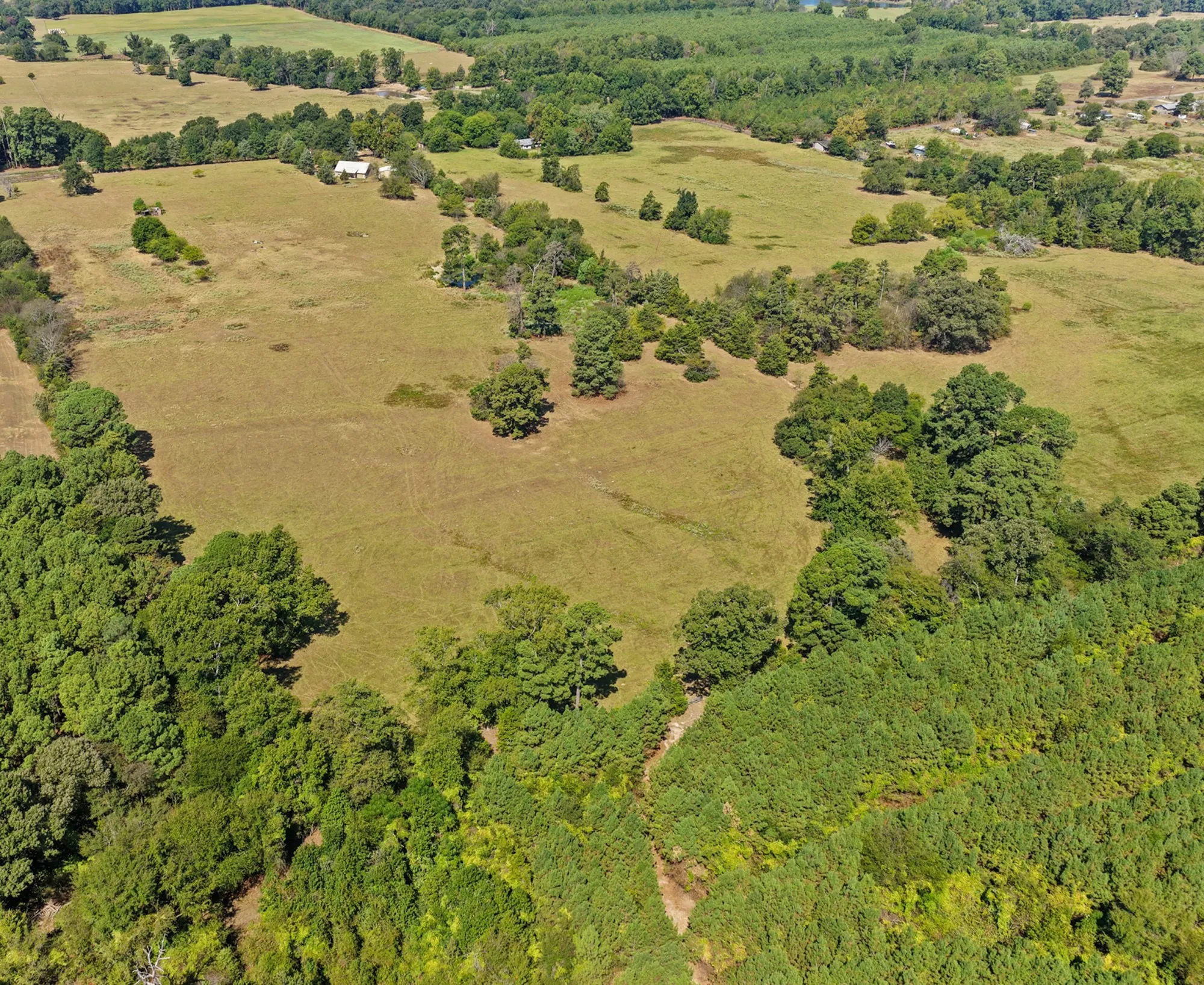 Farm For Sale in Camp County , 579 FM 1522, Pittsburg, Texas 75686, 4 Bedroom, 4 Bathroom, 2 Garage spaces, 2,849 Sqft, built in 1972, mls#21396295, Real Estate Agent in Pittsburg, Homes For Sale in Camp county, Homes For Sale in Pittsburg, Realtor in Pittsburg Texas, Real Estate Brokerage Independent Realty Texas, Luminita Cordes Realtor