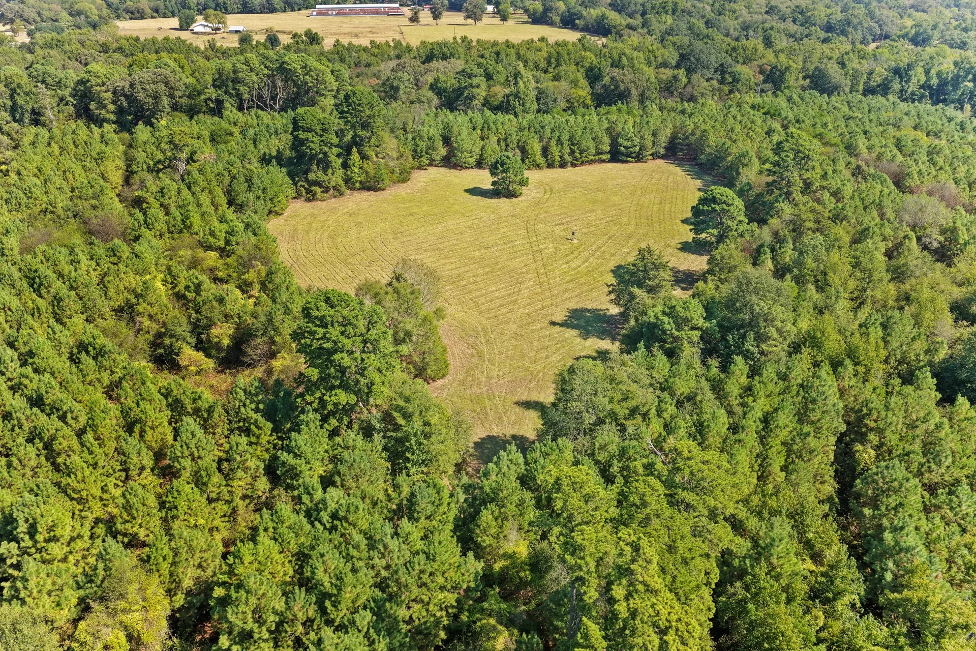 Farm For Sale in Camp County , 579 FM 1522, Pittsburg, Texas 75686, 4 Bedroom, 4 Bathroom, 2 Garage spaces, 2,849 Sqft, built in 1972, mls#21396295, Real Estate Agent in Pittsburg, Homes For Sale in Camp county, Homes For Sale in Pittsburg, Realtor in Pittsburg Texas, Real Estate Brokerage Independent Realty Texas, Luminita Cordes Realtor