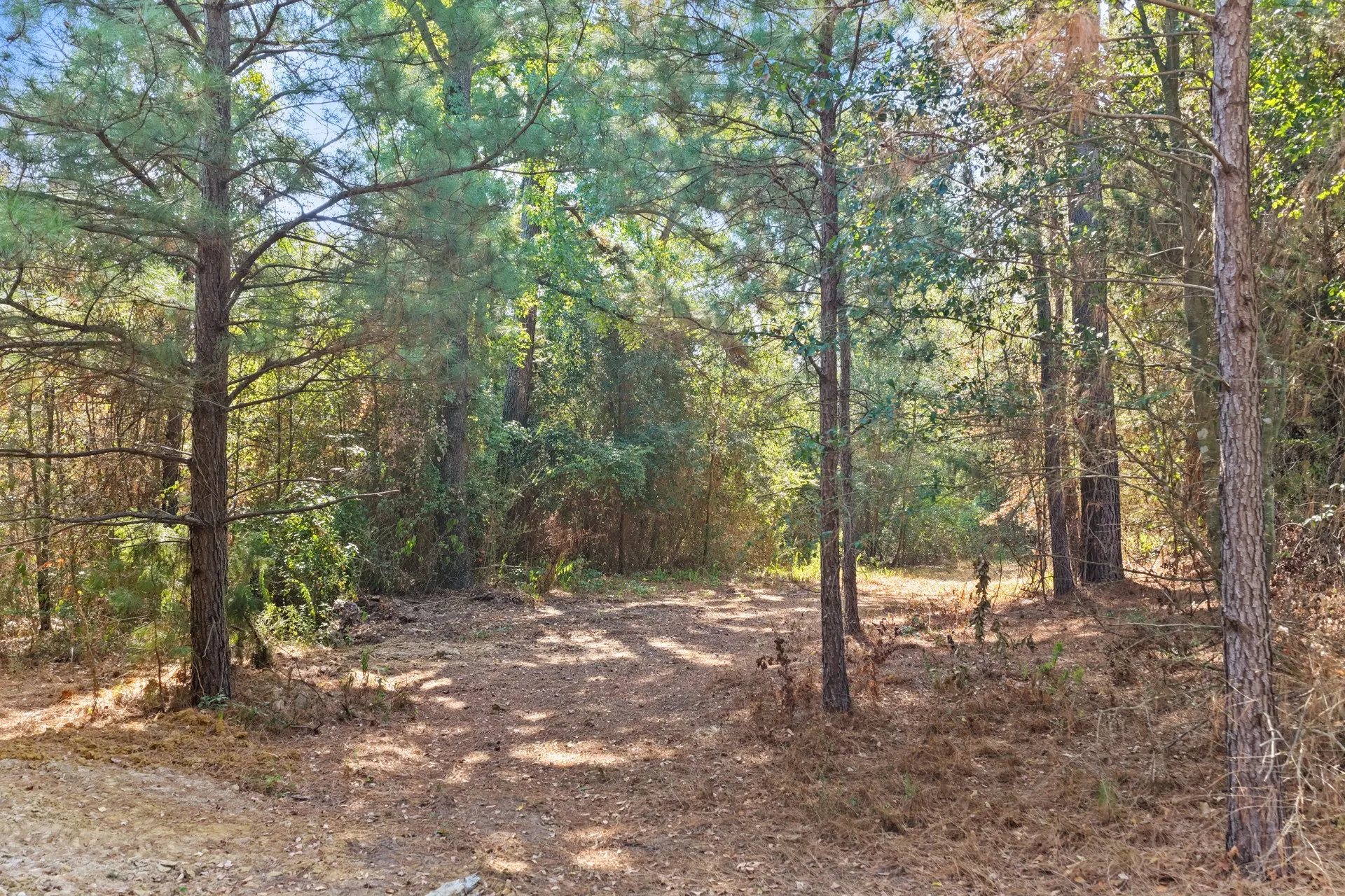Farm For Sale in Camp County , 579 FM 1522, Pittsburg, Texas 75686, 4 Bedroom, 4 Bathroom, 2 Garage spaces, 2,849 Sqft, built in 1972, mls#21396295, Real Estate Agent in Pittsburg, Homes For Sale in Camp county, Homes For Sale in Pittsburg, Realtor in Pittsburg Texas, Real Estate Brokerage Independent Realty Texas, Luminita Cordes Realtor