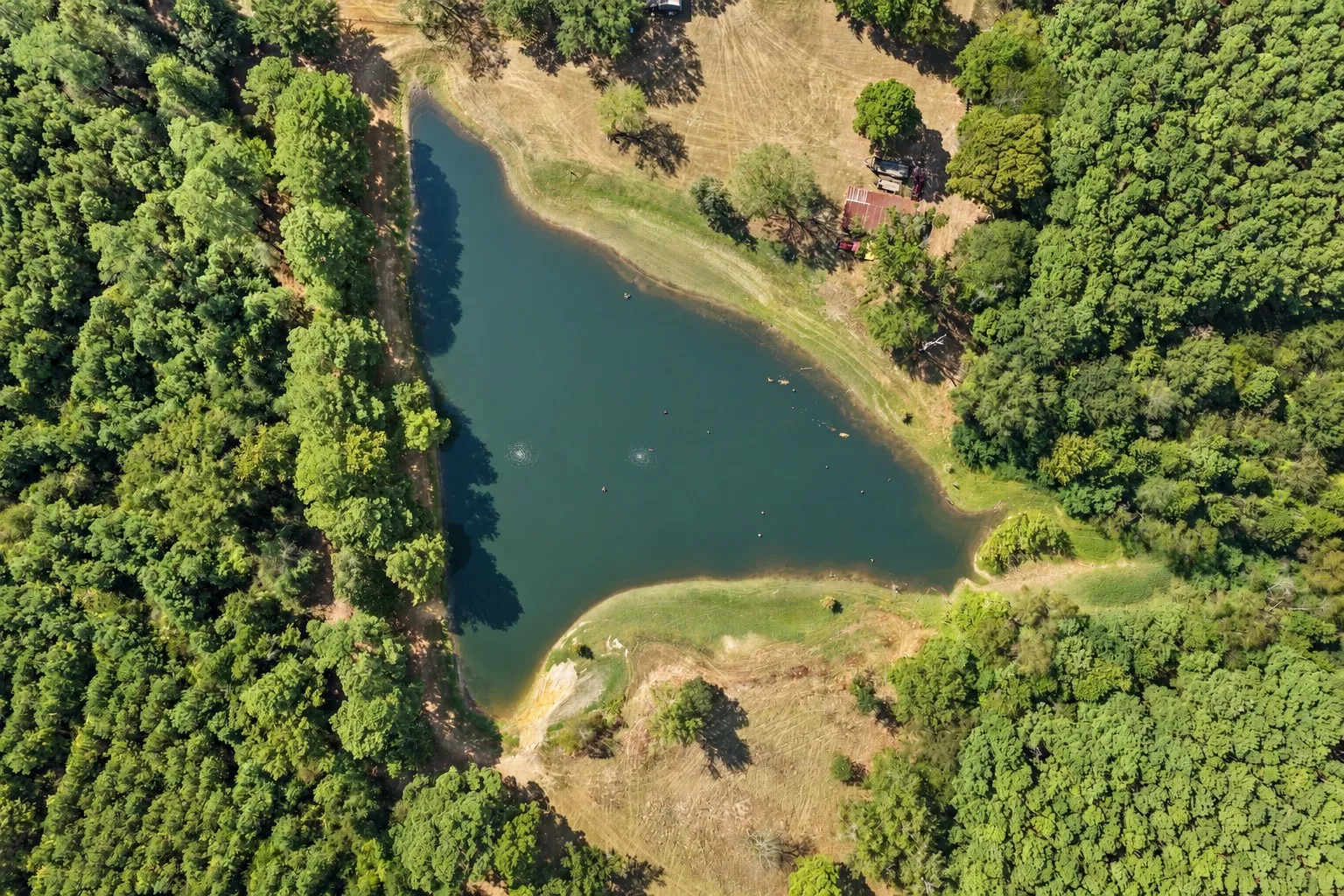 Farm For Sale in Camp County , 579 FM 1522, Pittsburg, Texas 75686, 4 Bedroom, 4 Bathroom, 2 Garage spaces, 2,849 Sqft, built in 1972, mls#21396295, Real Estate Agent in Pittsburg, Homes For Sale in Camp county, Homes For Sale in Pittsburg, Realtor in Pittsburg Texas, Real Estate Brokerage Independent Realty Texas, Luminita Cordes Realtor