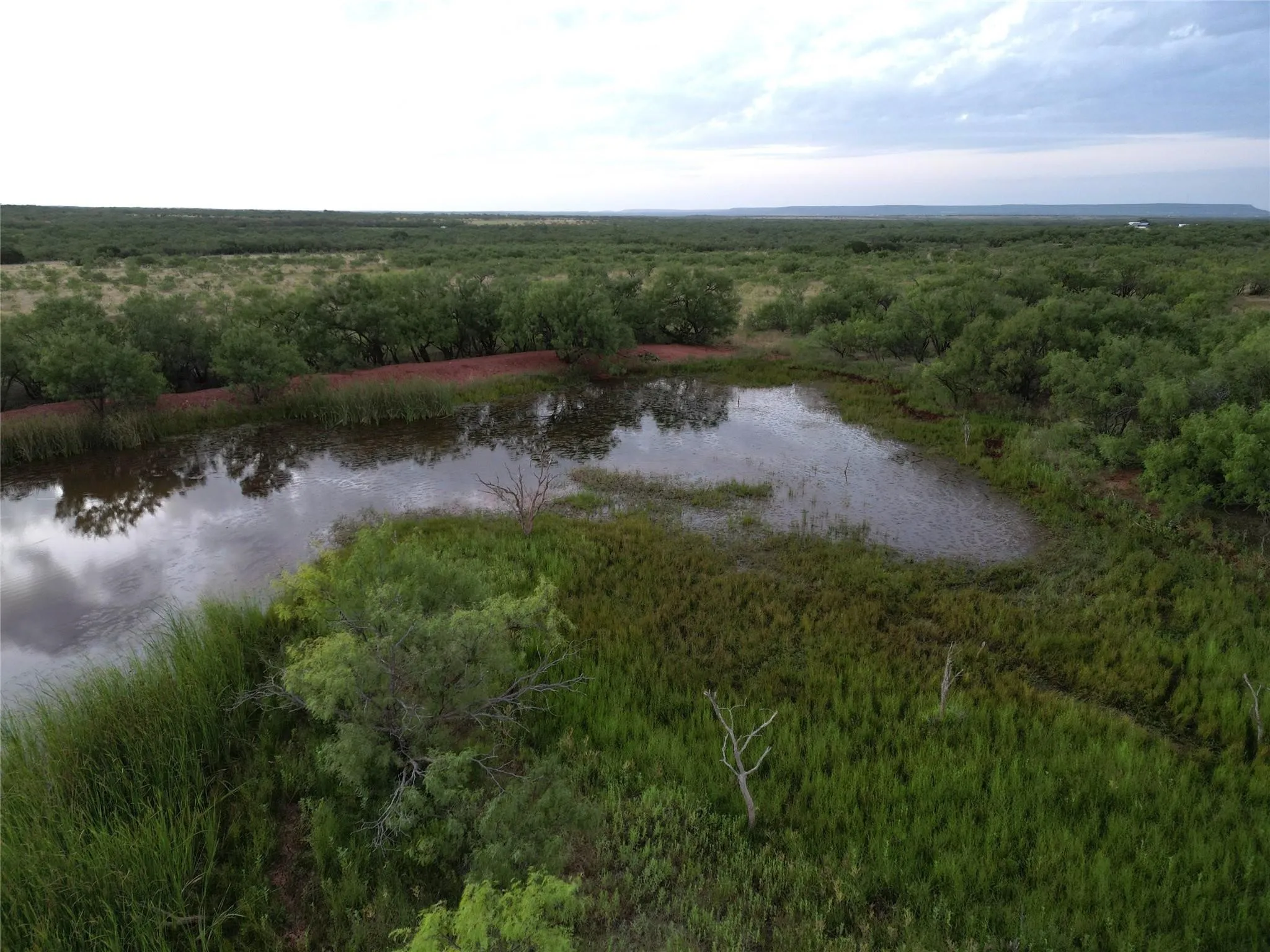 Ranch For Sale in Taylor County , 5725 Farm Market. 604, Ovalo, Texas 79567, 0, 0, Garage spaces, 0 Sqft, built in 1934, mls#21397543, Real Estate Agent in Ovalo, Homes For Sale in Taylor county, Homes For Sale in Ovalo, Realtor in Ovalo Texas, Real Estate Brokerage Independent Realty Texas, Luminita Cordes Realtor