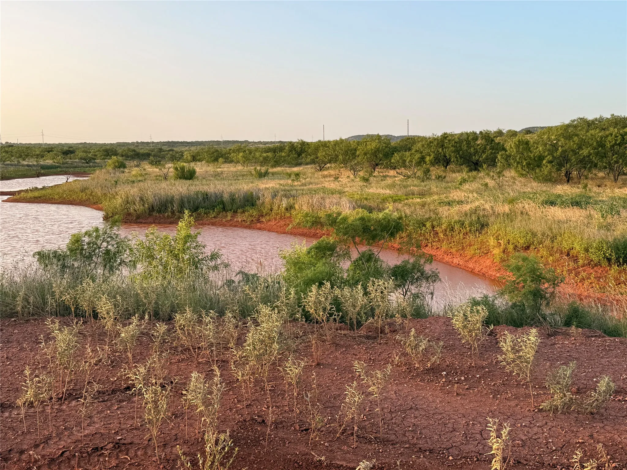 Ranch For Sale in Taylor County , 5725 Farm Market. 604, Ovalo, Texas 79567, 0, 0, Garage spaces, 0 Sqft, built in 1934, mls#21397543, Real Estate Agent in Ovalo, Homes For Sale in Taylor county, Homes For Sale in Ovalo, Realtor in Ovalo Texas, Real Estate Brokerage Independent Realty Texas, Luminita Cordes Realtor