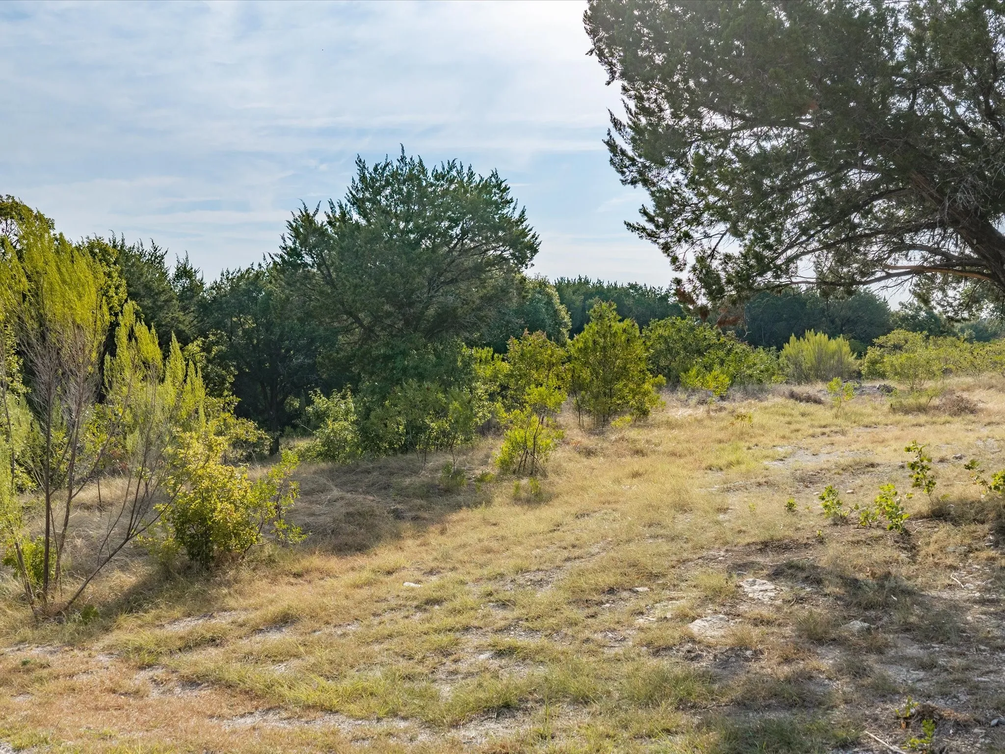 Unimproved Land For Sale in Hood County , 1211 Mountainside Drive, Granbury, Texas 76048, 0, 0, Garage spaces, 0 Sqft, built in 0, mls#21397470, Real Estate Agent in Granbury, Homes For Sale in Hood county, Homes For Sale in Granbury, Realtor in Granbury Texas, Real Estate Brokerage Independent Realty Texas, Luminita Cordes Realtor