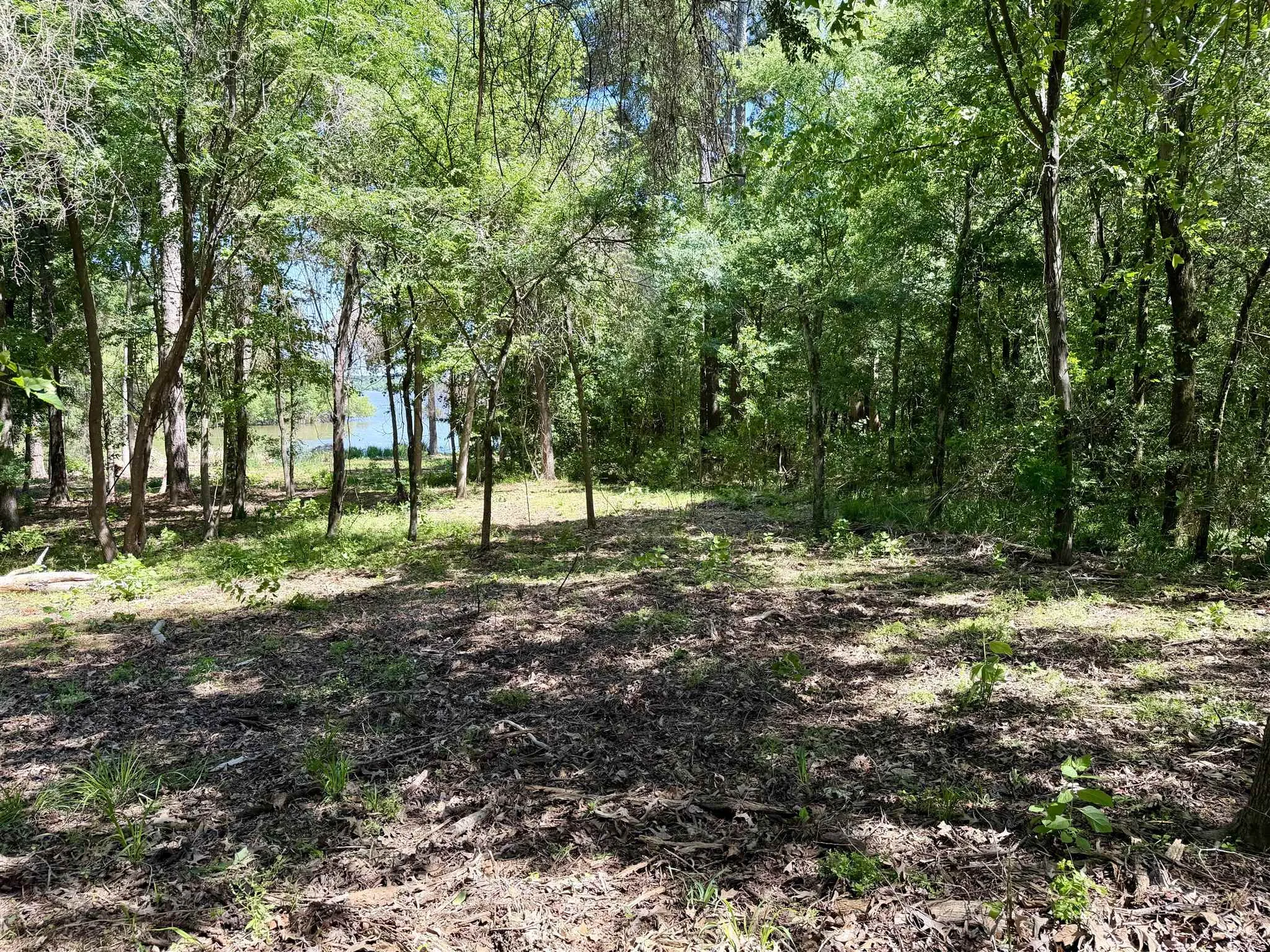 Unimproved Land For Sale in Henderson County , 10196 County Road 3202, Chandler, Texas 75758, 0, 0, Garage spaces, 0 Sqft, built in 0, mls#21387917, Real Estate Agent in Chandler, Homes For Sale in Henderson county, Homes For Sale in Chandler, Realtor in Chandler Texas, Real Estate Brokerage Independent Realty Texas, Luminita Cordes Realtor