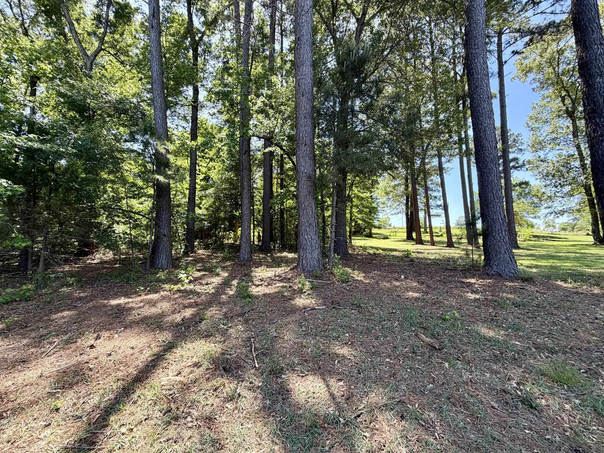 Unimproved Land For Sale in Henderson County , 10196 County Road 3202, Chandler, Texas 75758, 0, 0, Garage spaces, 0 Sqft, built in 0, mls#21387917, Real Estate Agent in Chandler, Homes For Sale in Henderson county, Homes For Sale in Chandler, Realtor in Chandler Texas, Real Estate Brokerage Independent Realty Texas, Luminita Cordes Realtor