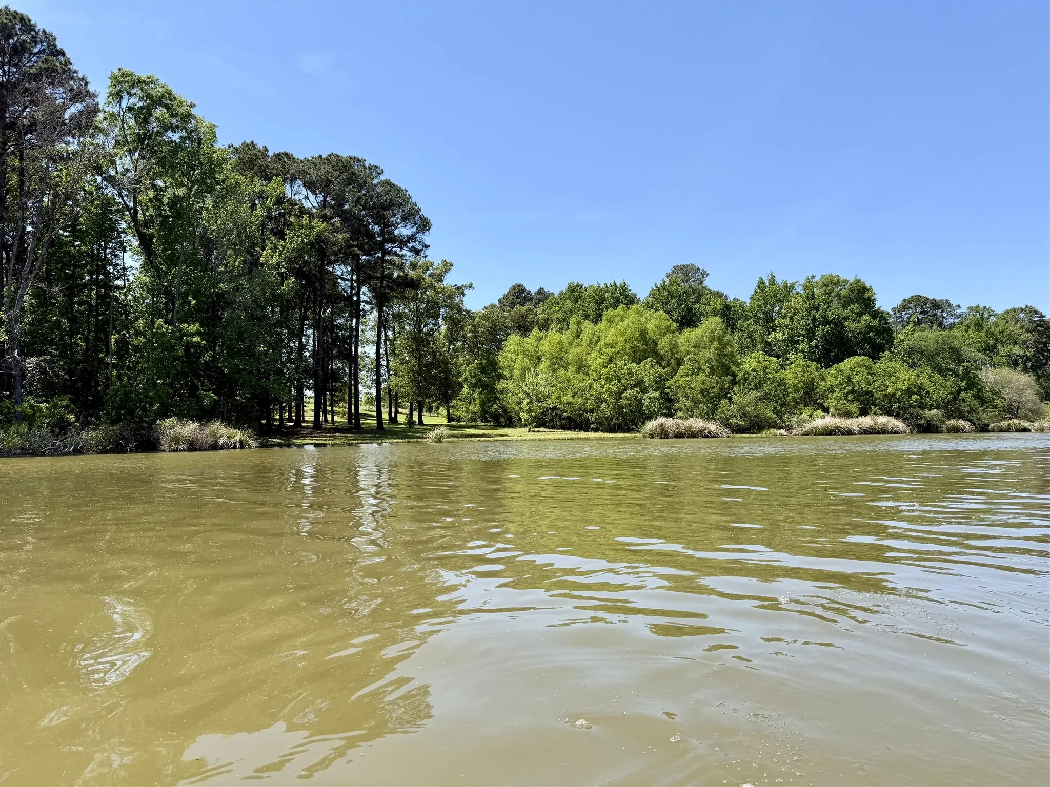 Unimproved Land For Sale in Henderson County , 10196 County Road 3202, Chandler, Texas 75758, 0, 0, Garage spaces, 0 Sqft, built in 0, mls#21387917, Real Estate Agent in Chandler, Homes For Sale in Henderson county, Homes For Sale in Chandler, Realtor in Chandler Texas, Real Estate Brokerage Independent Realty Texas, Luminita Cordes Realtor