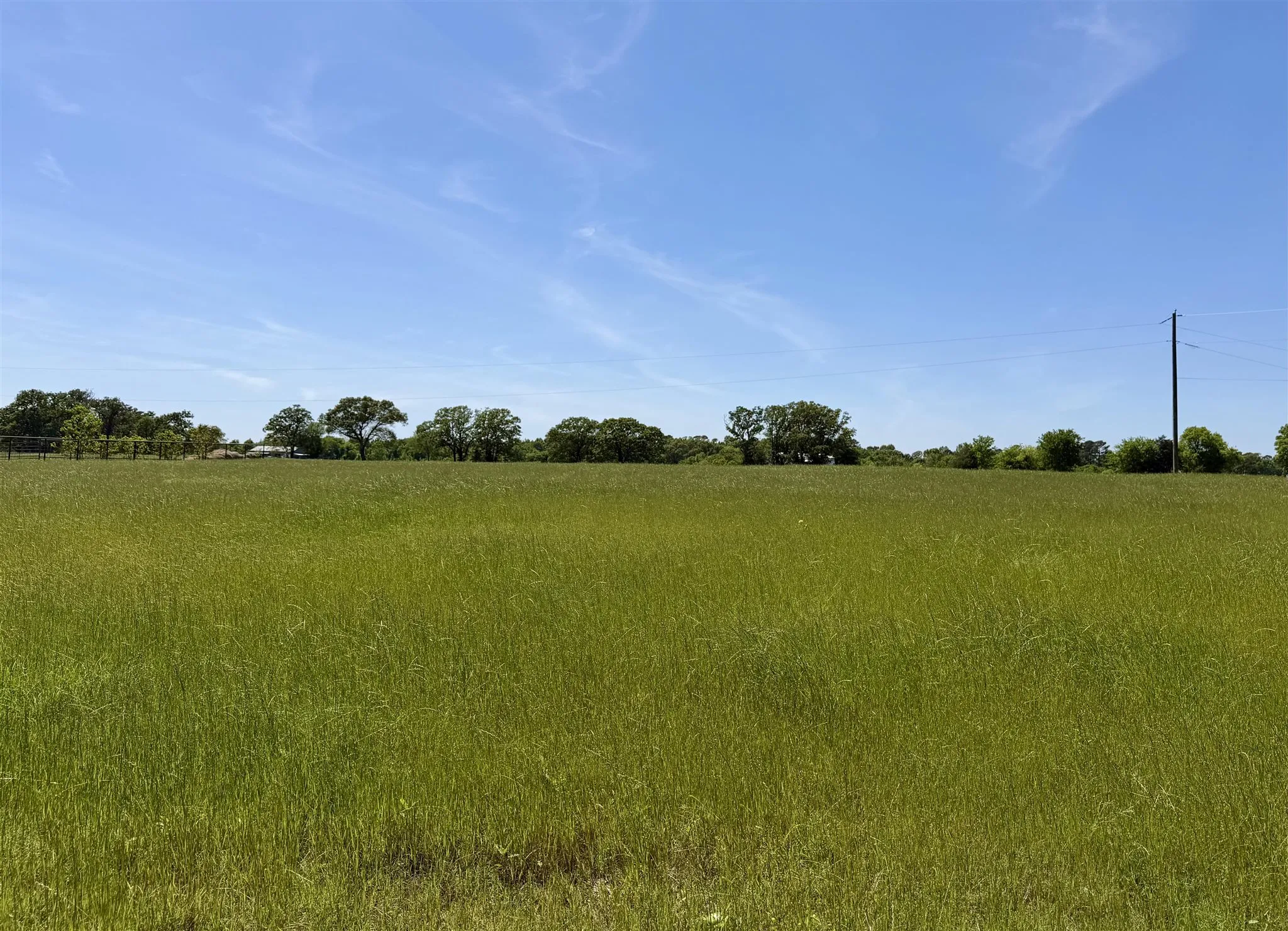 Unimproved Land For Sale in Henderson County , 10196 County Road 3202, Chandler, Texas 75758, 0, 0, Garage spaces, 0 Sqft, built in 0, mls#21387917, Real Estate Agent in Chandler, Homes For Sale in Henderson county, Homes For Sale in Chandler, Realtor in Chandler Texas, Real Estate Brokerage Independent Realty Texas, Luminita Cordes Realtor