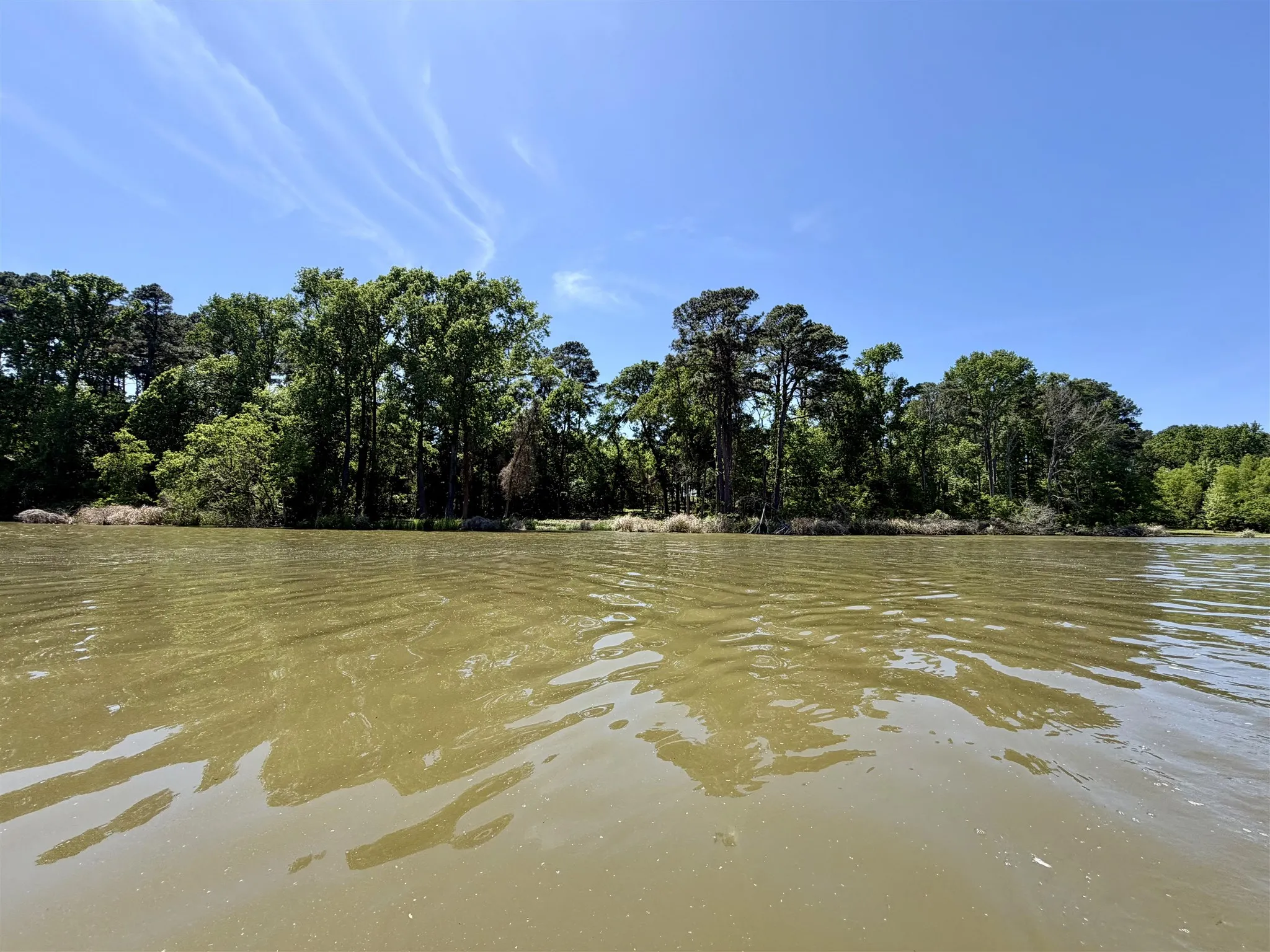 Unimproved Land For Sale in Henderson County , 10196 County Road 3202, Chandler, Texas 75758, 0, 0, Garage spaces, 0 Sqft, built in 0, mls#21387917, Real Estate Agent in Chandler, Homes For Sale in Henderson county, Homes For Sale in Chandler, Realtor in Chandler Texas, Real Estate Brokerage Independent Realty Texas, Luminita Cordes Realtor