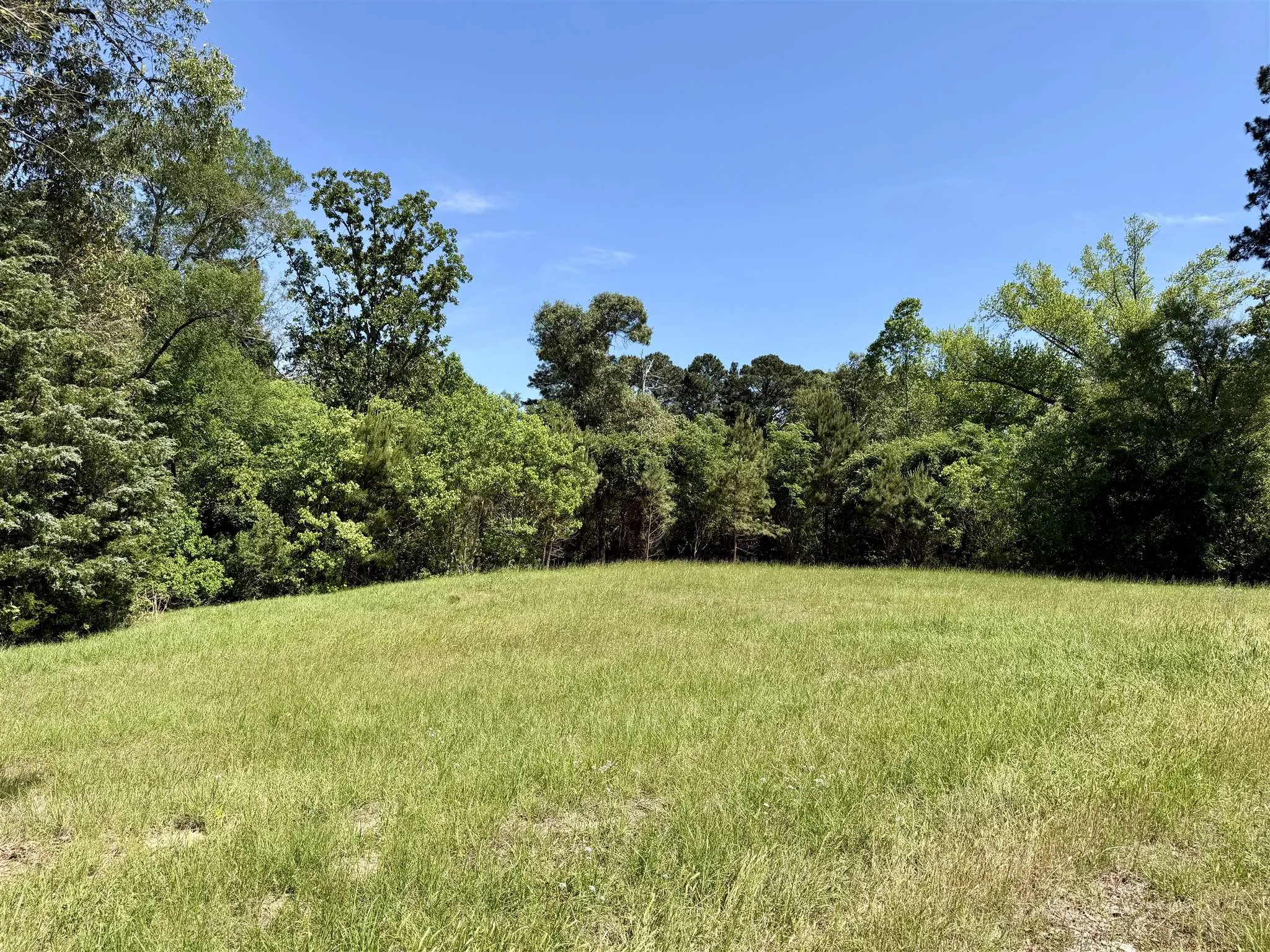 Unimproved Land For Sale in Henderson County , 10196 County Road 3202, Chandler, Texas 75758, 0, 0, Garage spaces, 0 Sqft, built in 0, mls#21387917, Real Estate Agent in Chandler, Homes For Sale in Henderson county, Homes For Sale in Chandler, Realtor in Chandler Texas, Real Estate Brokerage Independent Realty Texas, Luminita Cordes Realtor