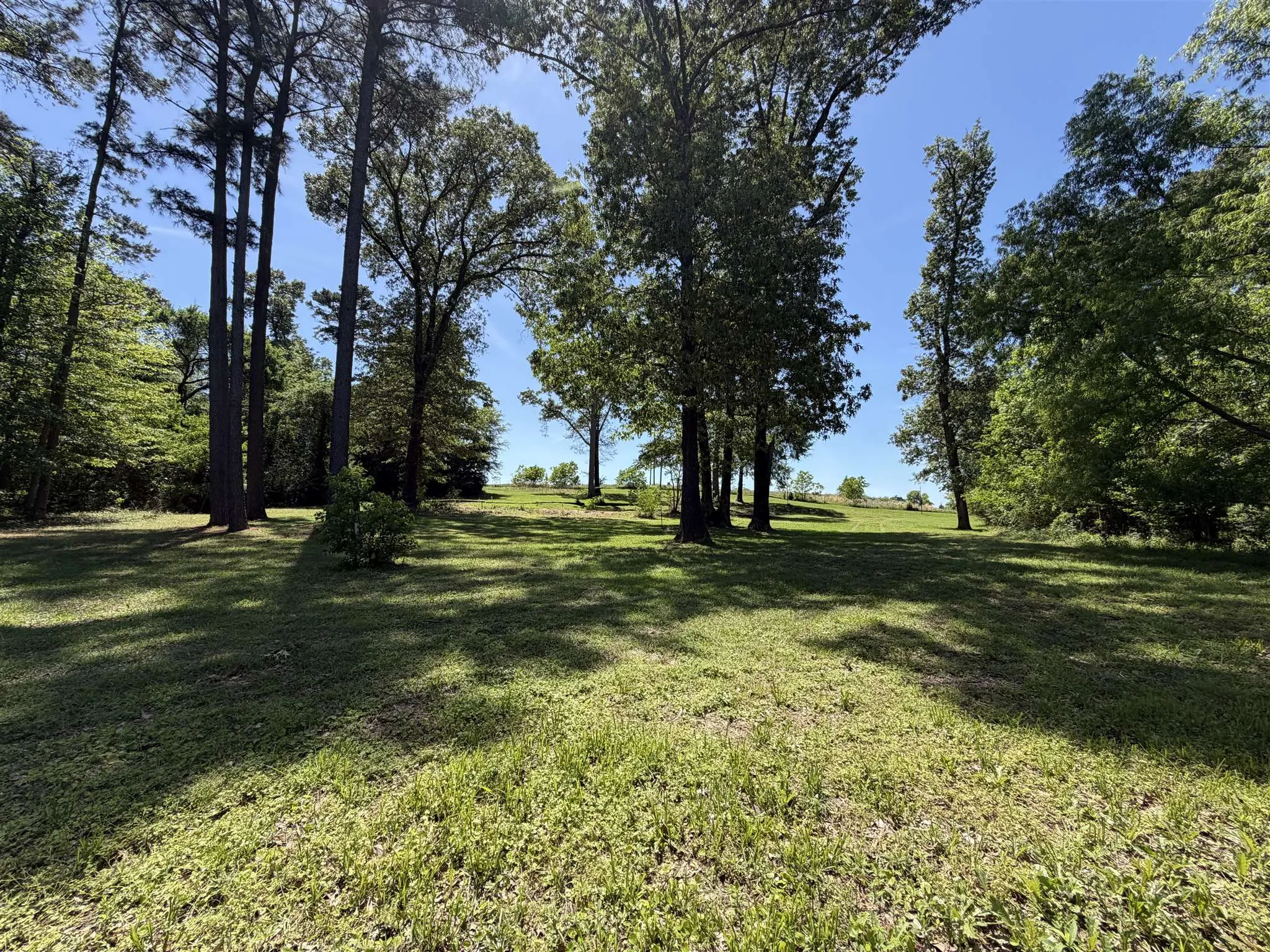Unimproved Land For Sale in Henderson County , 10196 County Road 3202, Chandler, Texas 75758, 0, 0, Garage spaces, 0 Sqft, built in 0, mls#21387917, Real Estate Agent in Chandler, Homes For Sale in Henderson county, Homes For Sale in Chandler, Realtor in Chandler Texas, Real Estate Brokerage Independent Realty Texas, Luminita Cordes Realtor
