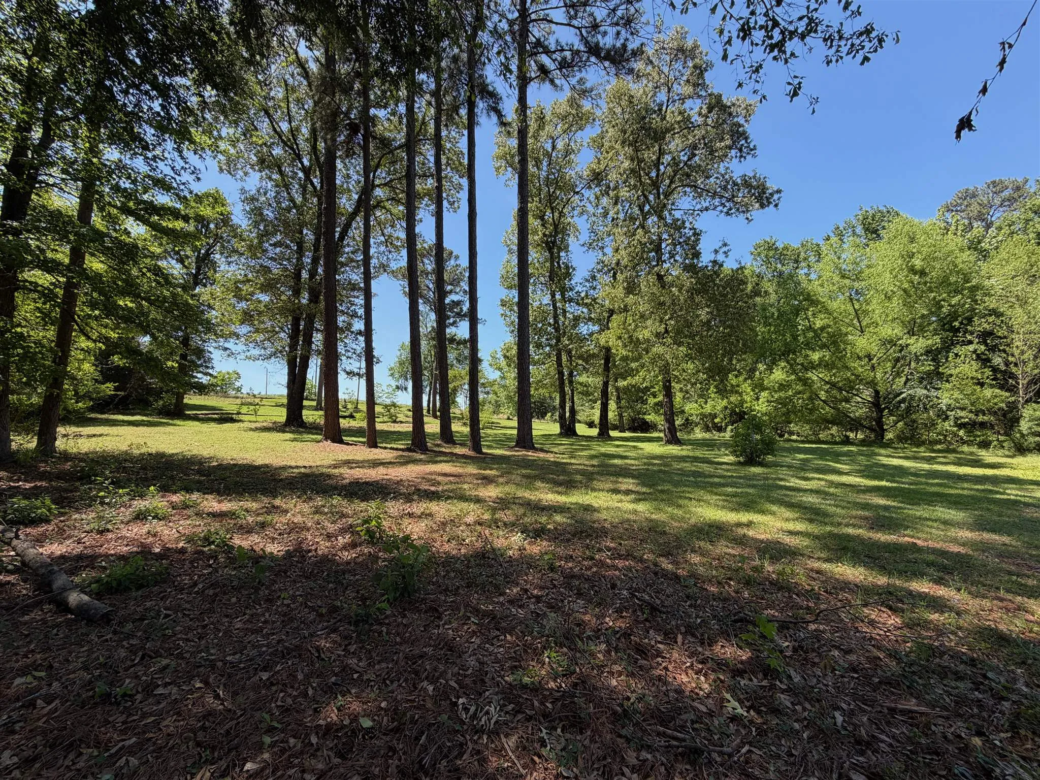 Unimproved Land For Sale in Henderson County , 10196 County Road 3202, Chandler, Texas 75758, 0, 0, Garage spaces, 0 Sqft, built in 0, mls#21387917, Real Estate Agent in Chandler, Homes For Sale in Henderson county, Homes For Sale in Chandler, Realtor in Chandler Texas, Real Estate Brokerage Independent Realty Texas, Luminita Cordes Realtor