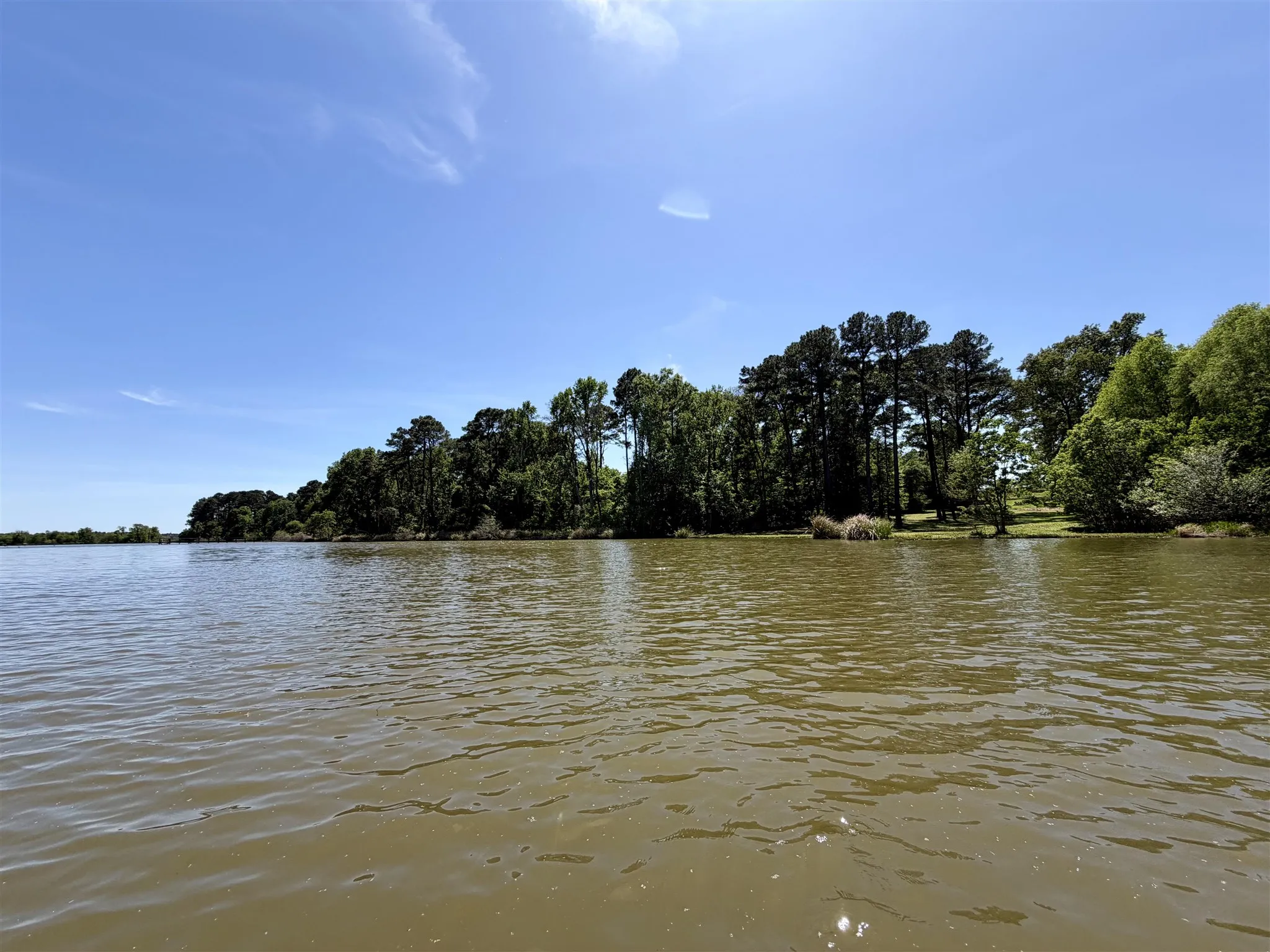 Unimproved Land For Sale in Henderson County , 10196 County Road 3202, Chandler, Texas 75758, 0, 0, Garage spaces, 0 Sqft, built in 0, mls#21387917, Real Estate Agent in Chandler, Homes For Sale in Henderson county, Homes For Sale in Chandler, Realtor in Chandler Texas, Real Estate Brokerage Independent Realty Texas, Luminita Cordes Realtor