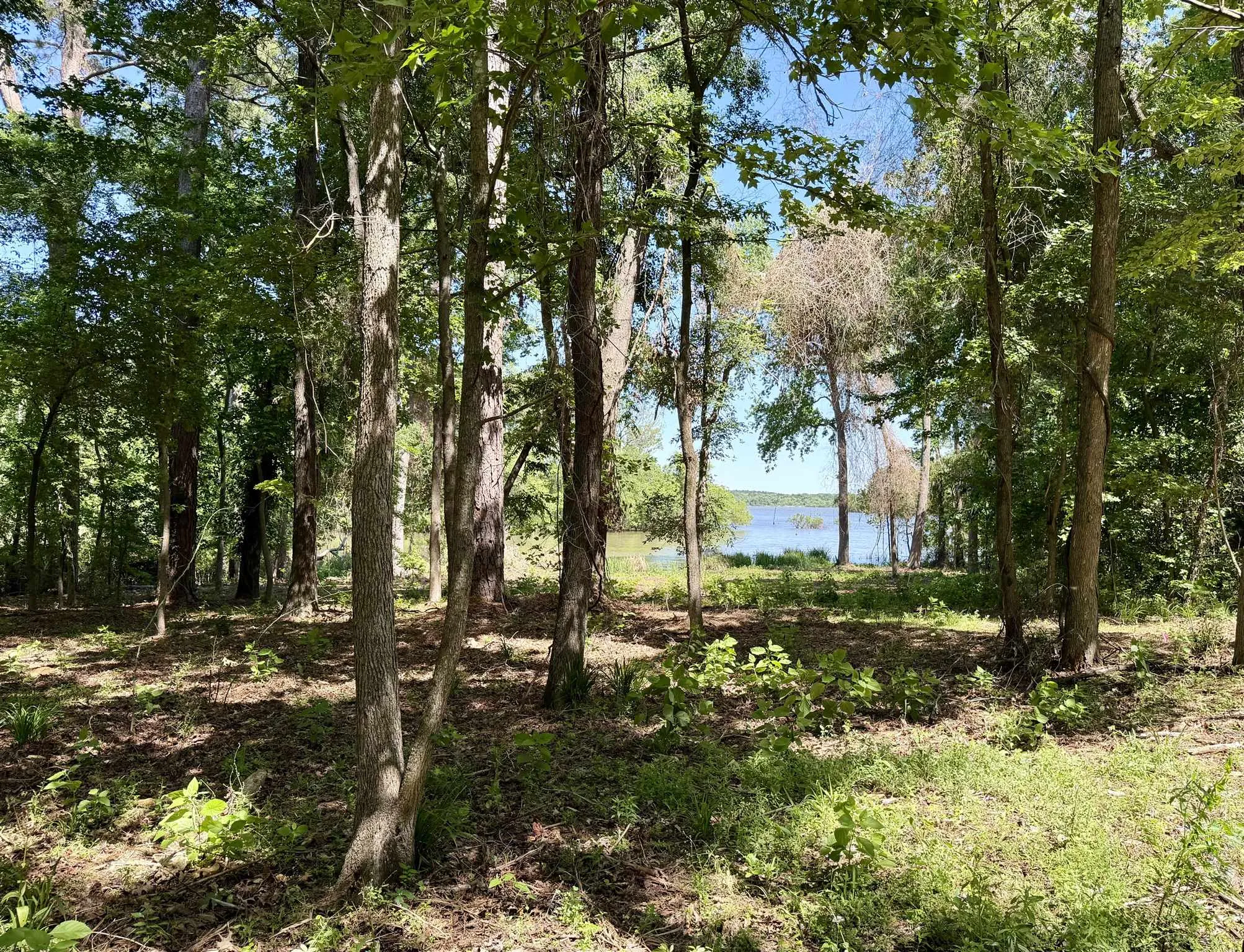 Unimproved Land For Sale in Henderson County , 10196 County Road 3202, Chandler, Texas 75758, 0, 0, Garage spaces, 0 Sqft, built in 0, mls#21387917, Real Estate Agent in Chandler, Homes For Sale in Henderson county, Homes For Sale in Chandler, Realtor in Chandler Texas, Real Estate Brokerage Independent Realty Texas, Luminita Cordes Realtor
