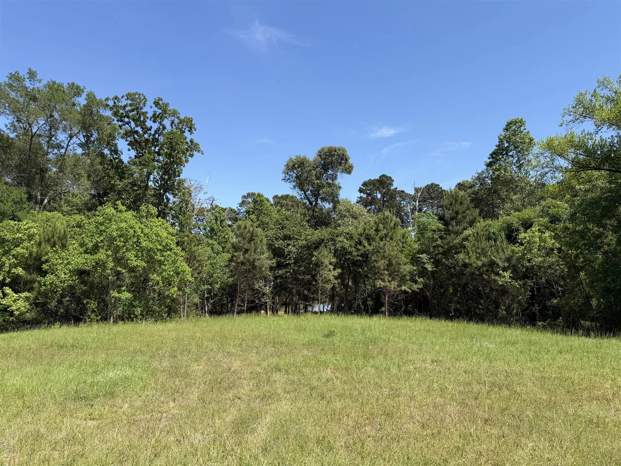 Unimproved Land For Sale in Henderson County , 10196 County Road 3202, Chandler, Texas 75758, 0, 0, Garage spaces, 0 Sqft, built in 0, mls#21387917, Real Estate Agent in Chandler, Homes For Sale in Henderson county, Homes For Sale in Chandler, Realtor in Chandler Texas, Real Estate Brokerage Independent Realty Texas, Luminita Cordes Realtor