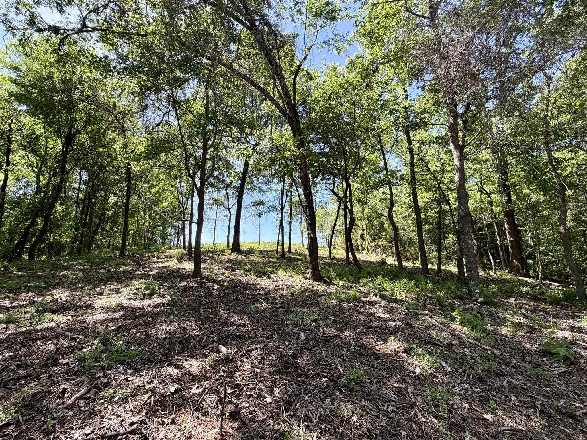 Unimproved Land For Sale in Henderson County , 10196 County Road 3202, Chandler, Texas 75758, 0, 0, Garage spaces, 0 Sqft, built in 0, mls#21387917, Real Estate Agent in Chandler, Homes For Sale in Henderson county, Homes For Sale in Chandler, Realtor in Chandler Texas, Real Estate Brokerage Independent Realty Texas, Luminita Cordes Realtor