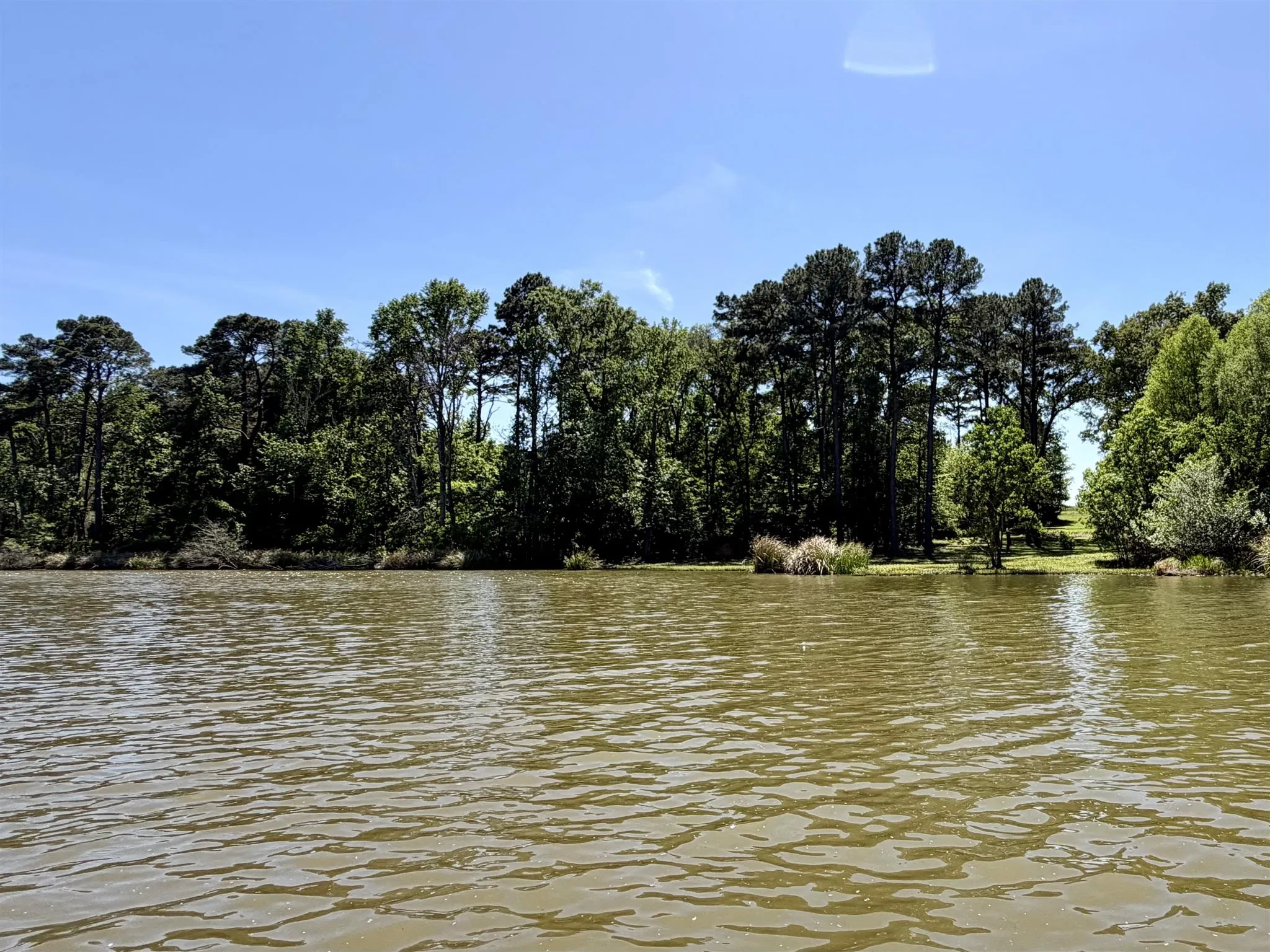 Unimproved Land For Sale in Henderson County , 10196 County Road 3202, Chandler, Texas 75758, 0, 0, Garage spaces, 0 Sqft, built in 0, mls#21387917, Real Estate Agent in Chandler, Homes For Sale in Henderson county, Homes For Sale in Chandler, Realtor in Chandler Texas, Real Estate Brokerage Independent Realty Texas, Luminita Cordes Realtor
