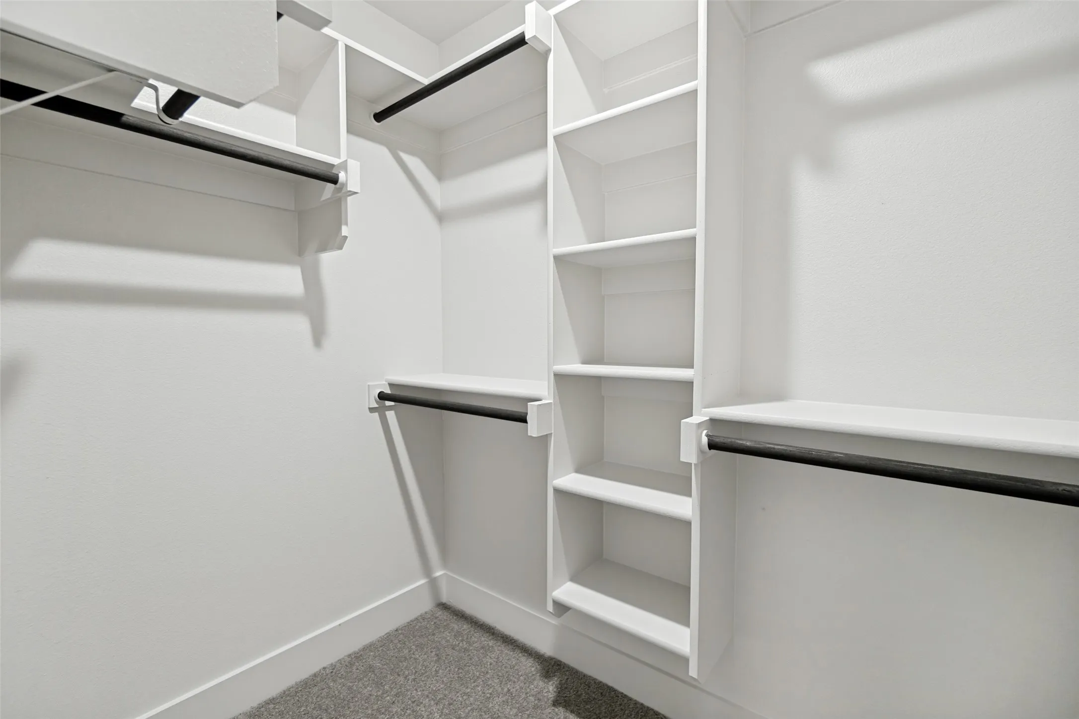 Custom closet system featuring white shelving, multiple hanging rods, built-in cubbies, and gray carpet flooring