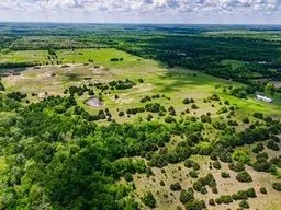 Unimproved Land For Sale in Fannin County , TBD County Road 3365, Ladonia, Texas 75449, 0, 0, Garage spaces, 0 Sqft, built in 0, mls#21397595, Real Estate Agent in Ladonia, Homes For Sale in Fannin county, Homes For Sale in Ladonia, Realtor in Ladonia Texas, Real Estate Brokerage Independent Realty Texas, Luminita Cordes Realtor