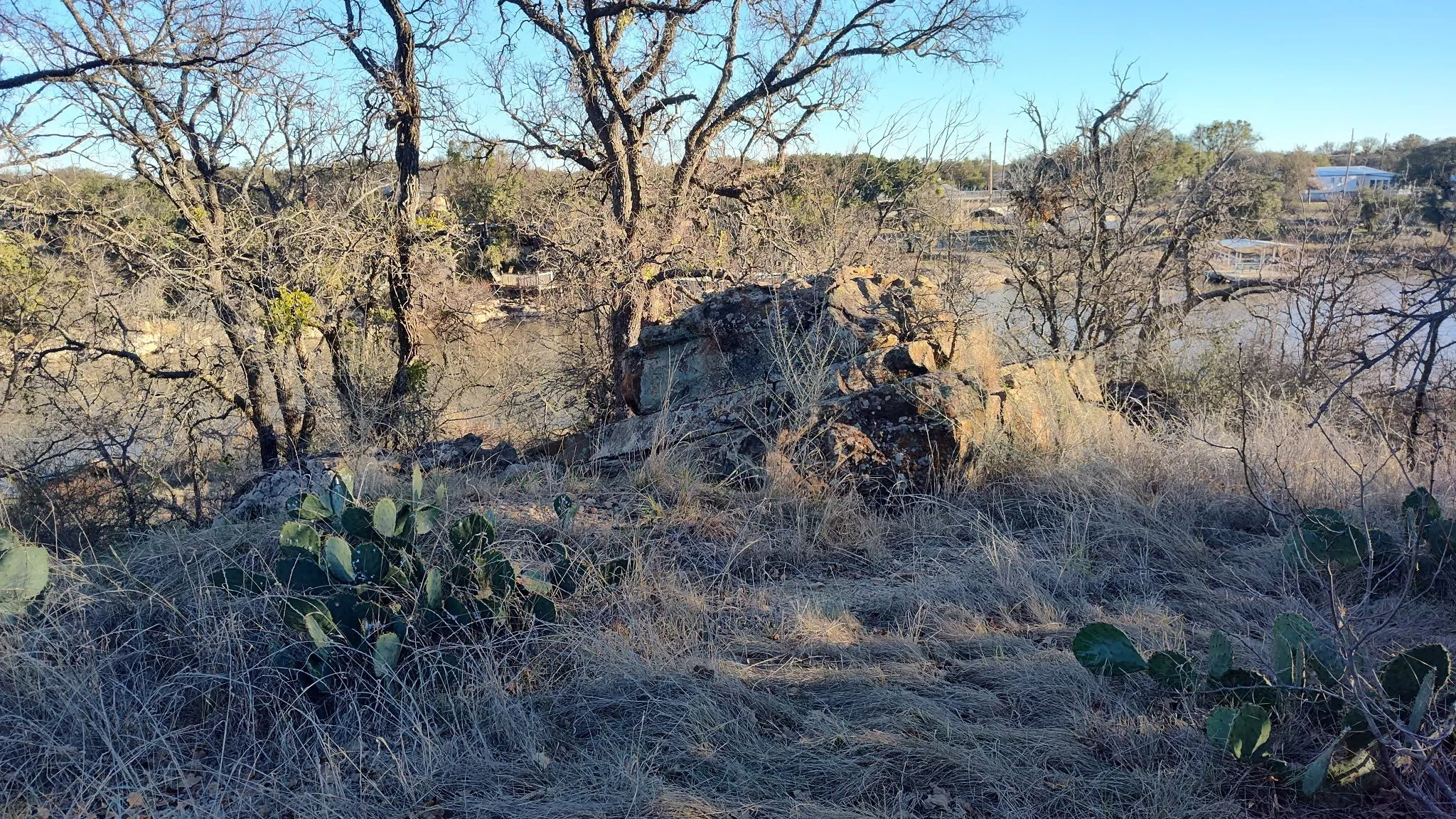 Natural landscape featuring mature trees, rock formations, and a body of water