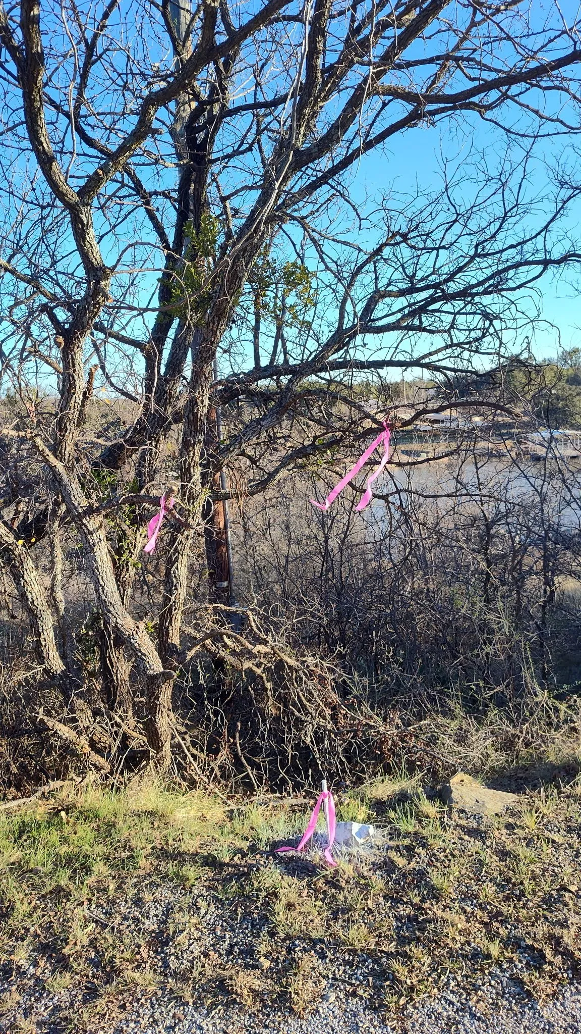 Unimproved Land For Sale in Brown County , 56 Brook Valley Drive, May, Texas 76857, 0, 0, Garage spaces, 0 Sqft, built in 0, mls#21397596, Real Estate Agent in May, Homes For Sale in Brown county, Homes For Sale in May, Realtor in May Texas, Real Estate Brokerage Independent Realty Texas, Luminita Cordes Realtor