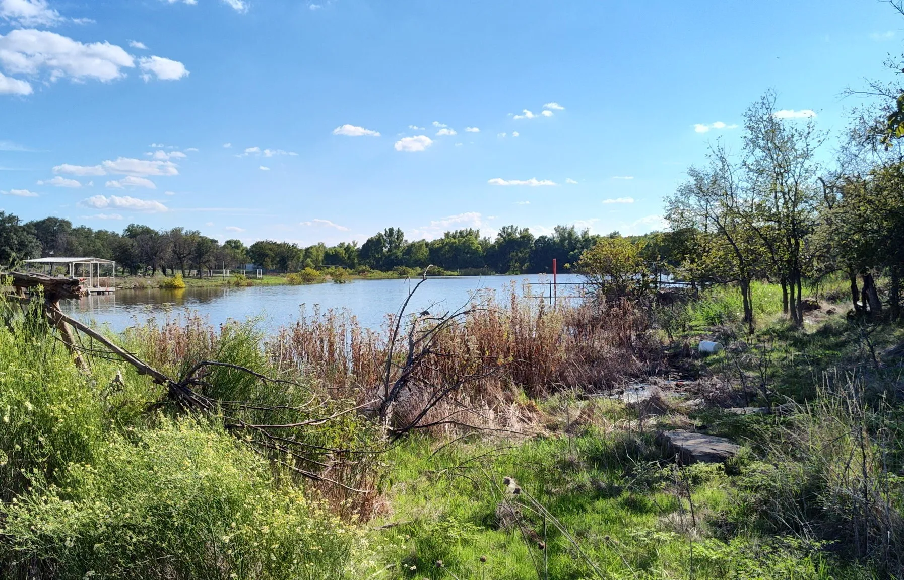 Expansive waterfront setting with mature trees and natural vegetation