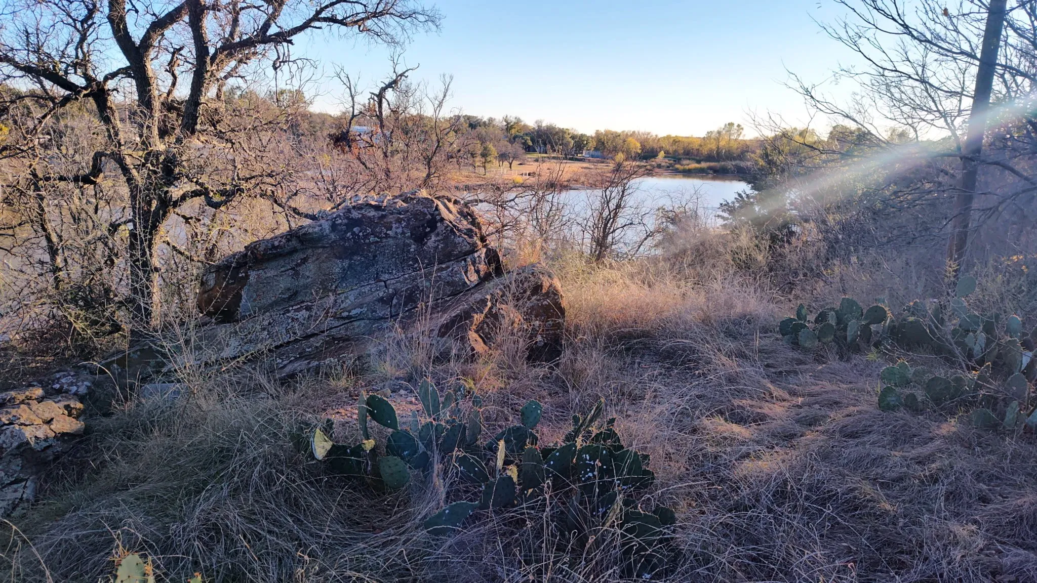 Natural landscape with a water body, indigenous vegetation, and exposed rock formations