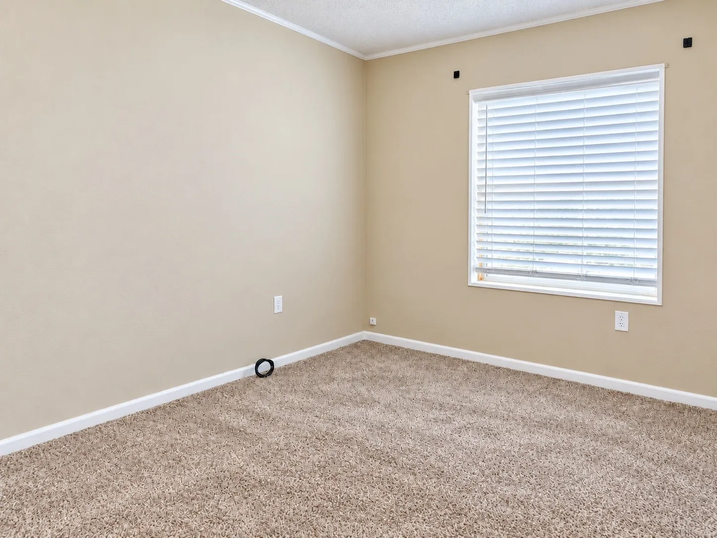 Neutral-toned walls, textured carpeting, and a window with horizontal blinds