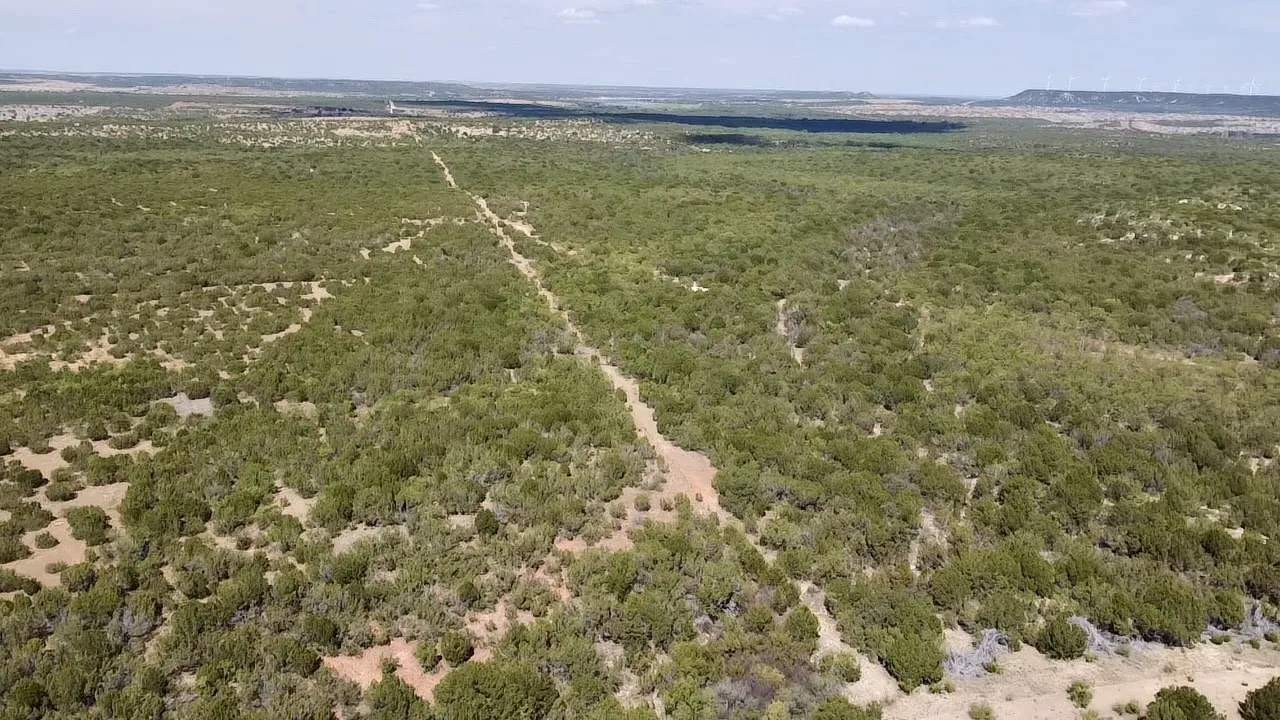 Ranch For Sale in Nolan County , 1880 FM 2035, Sweetwater, Texas 79556, 0, 0, Garage spaces, 0 Sqft, built in 2024, mls#21397005, Real Estate Agent in Sweetwater, Homes For Sale in Nolan county, Homes For Sale in Sweetwater, Realtor in Sweetwater Texas, Real Estate Brokerage Independent Realty Texas, Luminita Cordes Realtor