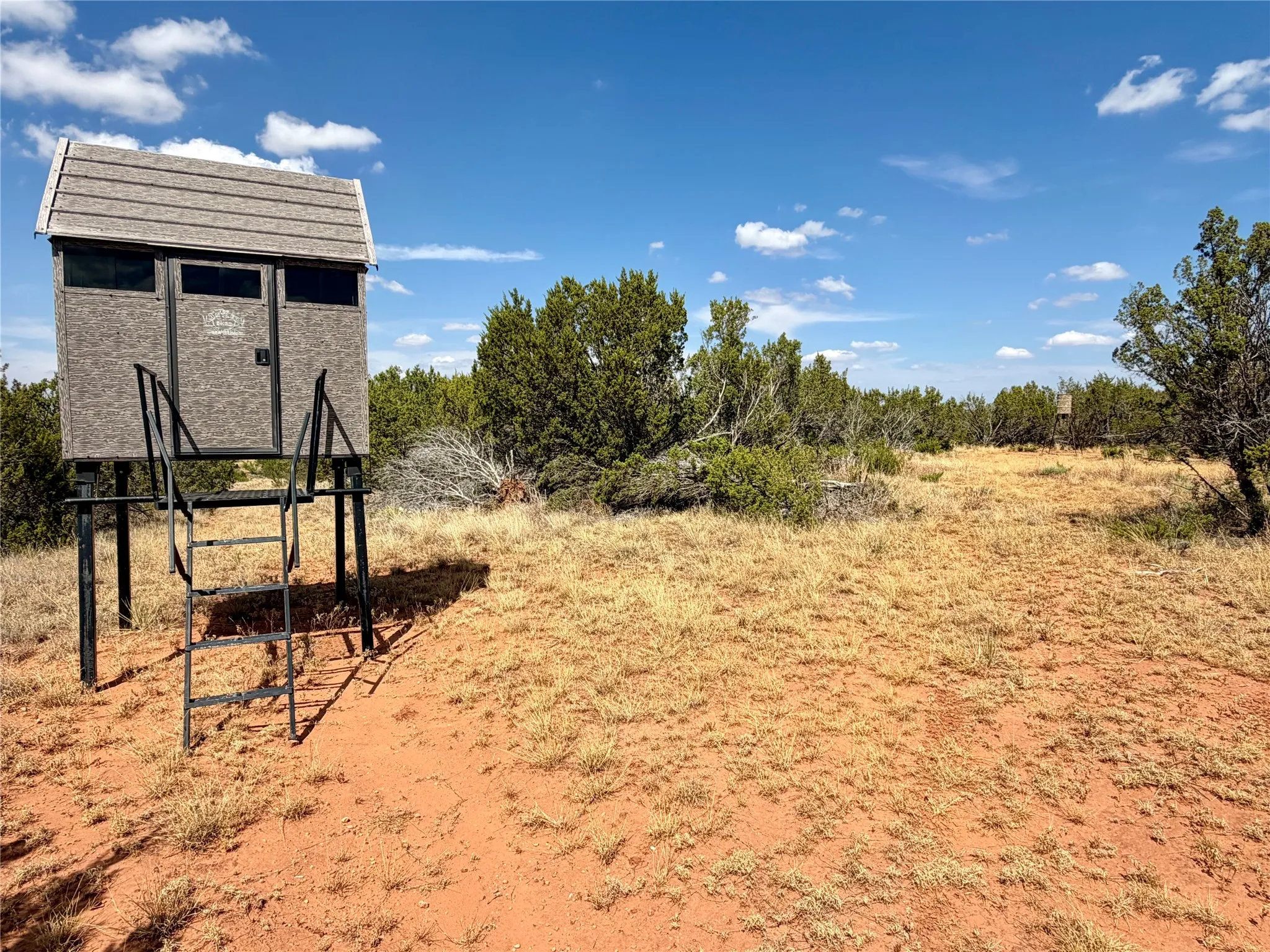 Ranch For Sale in Nolan County , 1880 FM 2035, Sweetwater, Texas 79556, 0, 0, Garage spaces, 0 Sqft, built in 2024, mls#21397005, Real Estate Agent in Sweetwater, Homes For Sale in Nolan county, Homes For Sale in Sweetwater, Realtor in Sweetwater Texas, Real Estate Brokerage Independent Realty Texas, Luminita Cordes Realtor