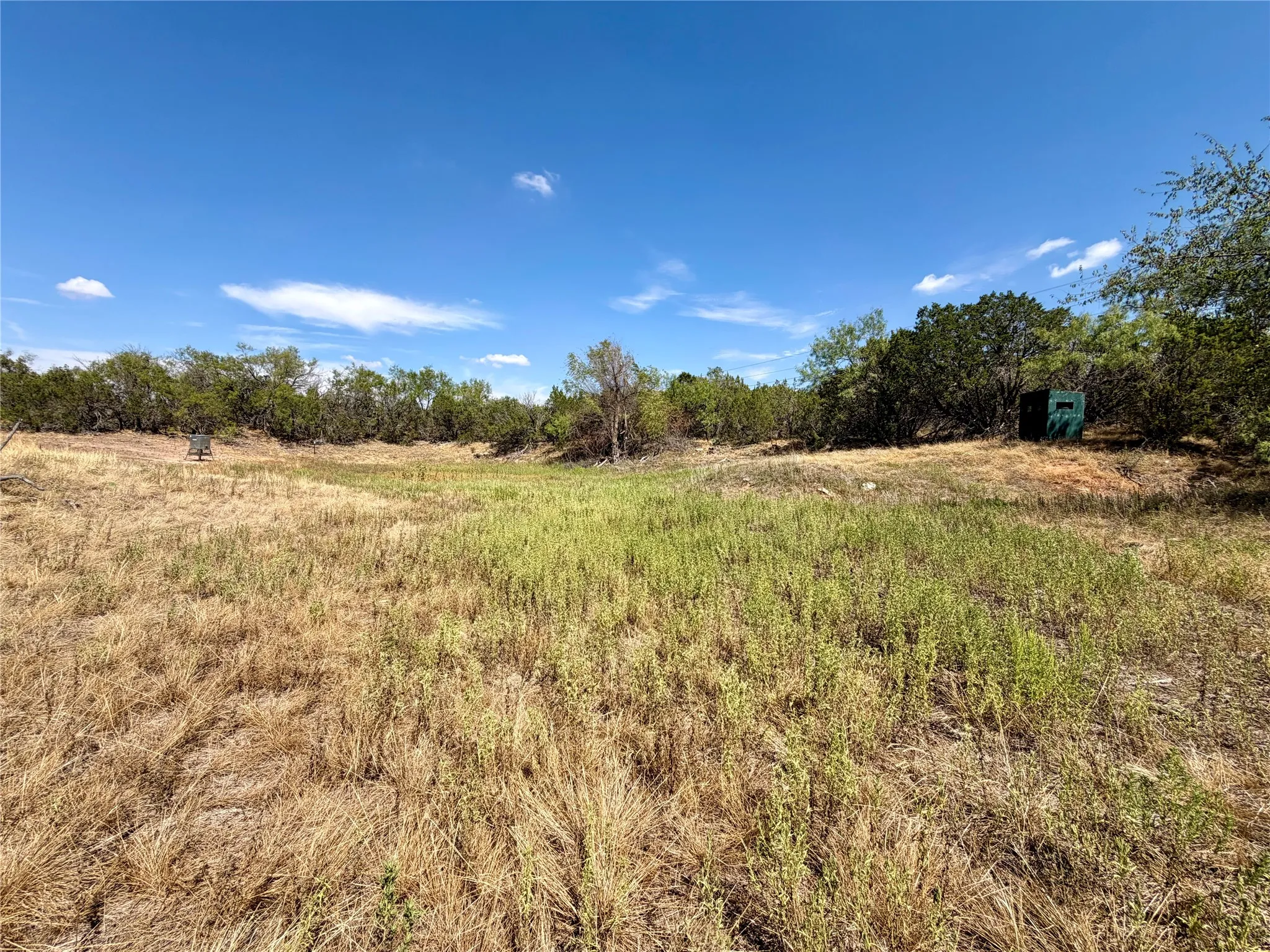 Ranch For Sale in Nolan County , 1880 FM 2035, Sweetwater, Texas 79556, 0, 0, Garage spaces, 0 Sqft, built in 2024, mls#21397005, Real Estate Agent in Sweetwater, Homes For Sale in Nolan county, Homes For Sale in Sweetwater, Realtor in Sweetwater Texas, Real Estate Brokerage Independent Realty Texas, Luminita Cordes Realtor