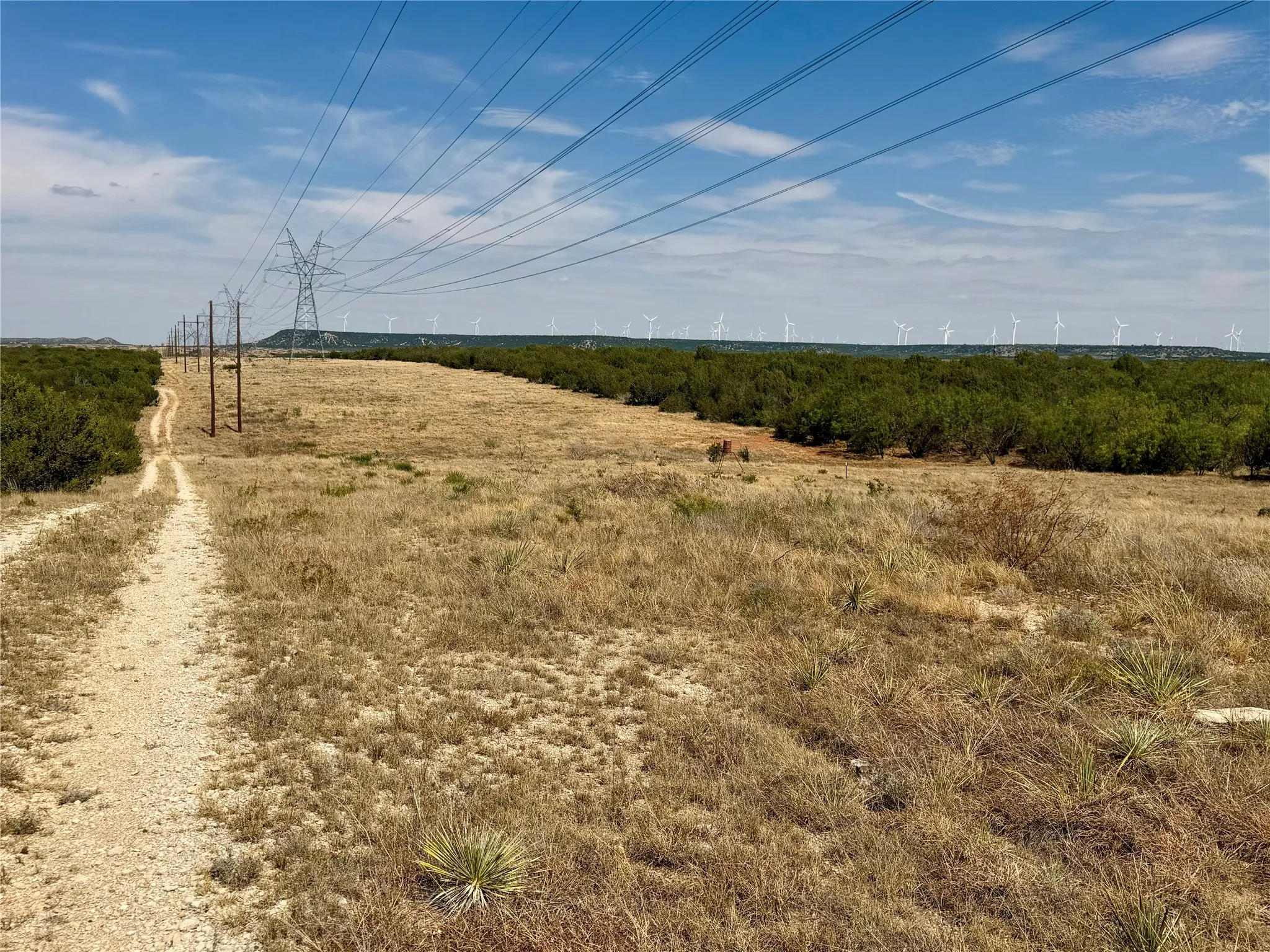 Ranch For Sale in Nolan County , 1880 FM 2035, Sweetwater, Texas 79556, 0, 0, Garage spaces, 0 Sqft, built in 2024, mls#21397005, Real Estate Agent in Sweetwater, Homes For Sale in Nolan county, Homes For Sale in Sweetwater, Realtor in Sweetwater Texas, Real Estate Brokerage Independent Realty Texas, Luminita Cordes Realtor