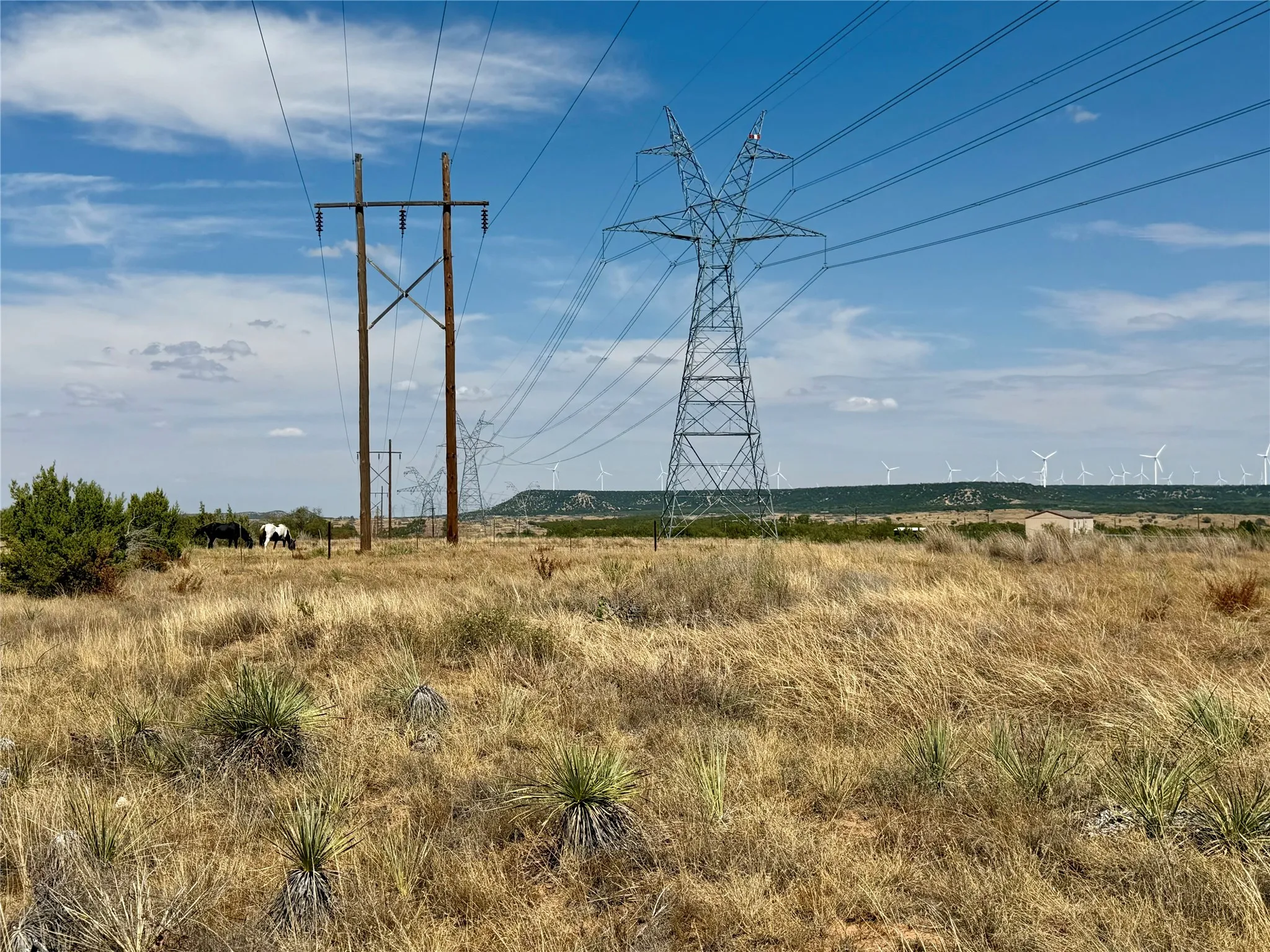 Ranch For Sale in Nolan County , 1880 FM 2035, Sweetwater, Texas 79556, 0, 0, Garage spaces, 0 Sqft, built in 2024, mls#21397005, Real Estate Agent in Sweetwater, Homes For Sale in Nolan county, Homes For Sale in Sweetwater, Realtor in Sweetwater Texas, Real Estate Brokerage Independent Realty Texas, Luminita Cordes Realtor