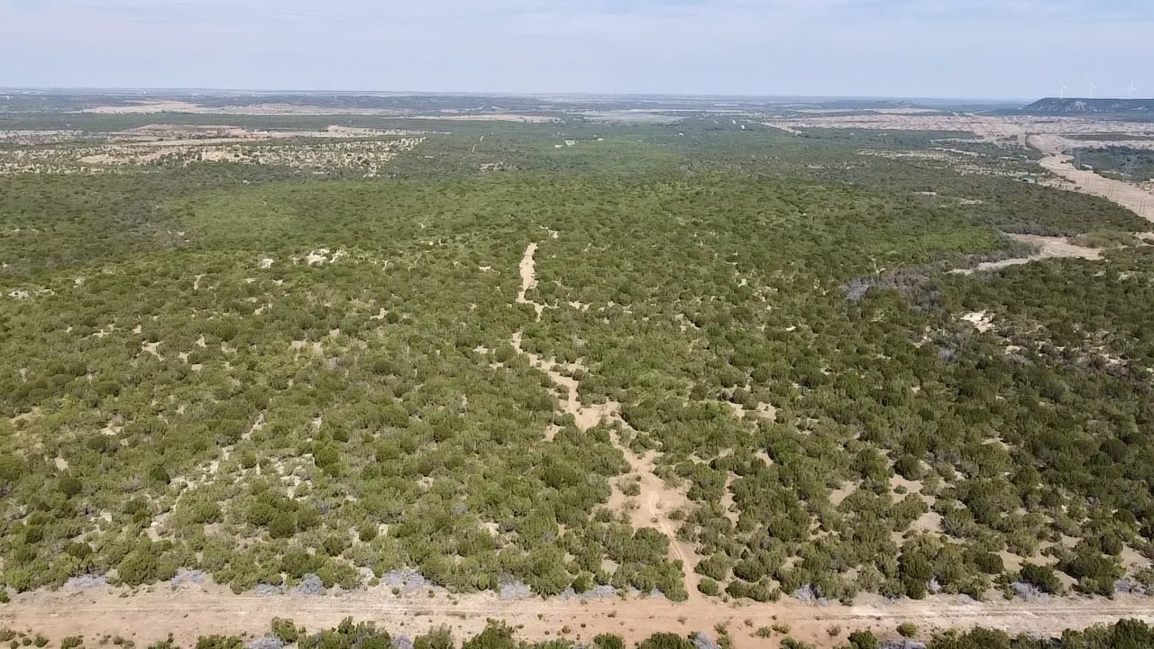 Ranch For Sale in Nolan County , 1880 FM 2035, Sweetwater, Texas 79556, 0, 0, Garage spaces, 0 Sqft, built in 2024, mls#21397005, Real Estate Agent in Sweetwater, Homes For Sale in Nolan county, Homes For Sale in Sweetwater, Realtor in Sweetwater Texas, Real Estate Brokerage Independent Realty Texas, Luminita Cordes Realtor