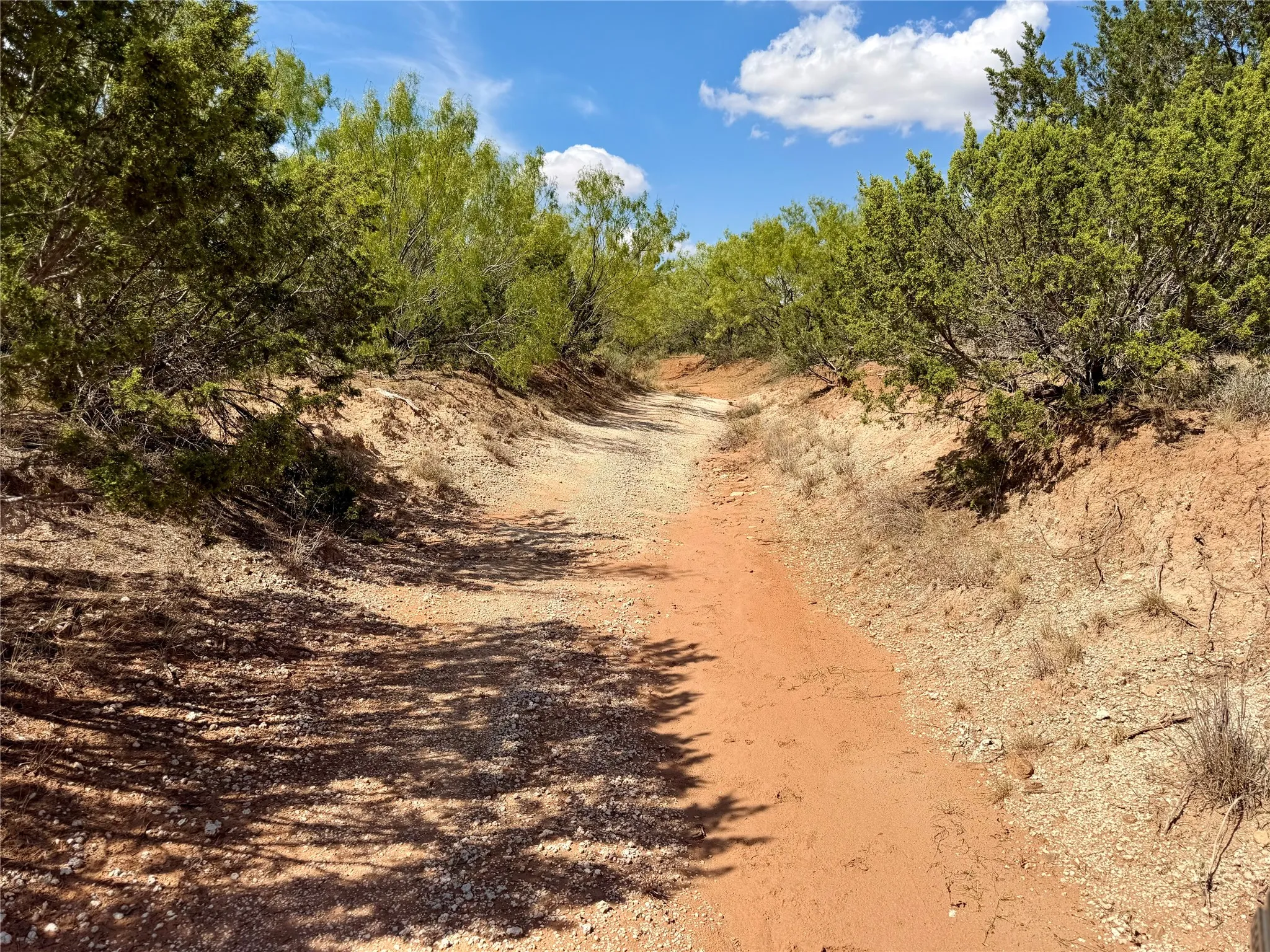 Ranch For Sale in Nolan County , 1880 FM 2035, Sweetwater, Texas 79556, 0, 0, Garage spaces, 0 Sqft, built in 2024, mls#21397005, Real Estate Agent in Sweetwater, Homes For Sale in Nolan county, Homes For Sale in Sweetwater, Realtor in Sweetwater Texas, Real Estate Brokerage Independent Realty Texas, Luminita Cordes Realtor
