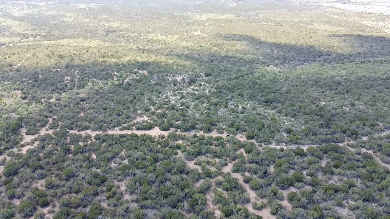 Ranch For Sale in Nolan County , 1880 FM 2035, Sweetwater, Texas 79556, 0, 0, Garage spaces, 0 Sqft, built in 2024, mls#21397005, Real Estate Agent in Sweetwater, Homes For Sale in Nolan county, Homes For Sale in Sweetwater, Realtor in Sweetwater Texas, Real Estate Brokerage Independent Realty Texas, Luminita Cordes Realtor