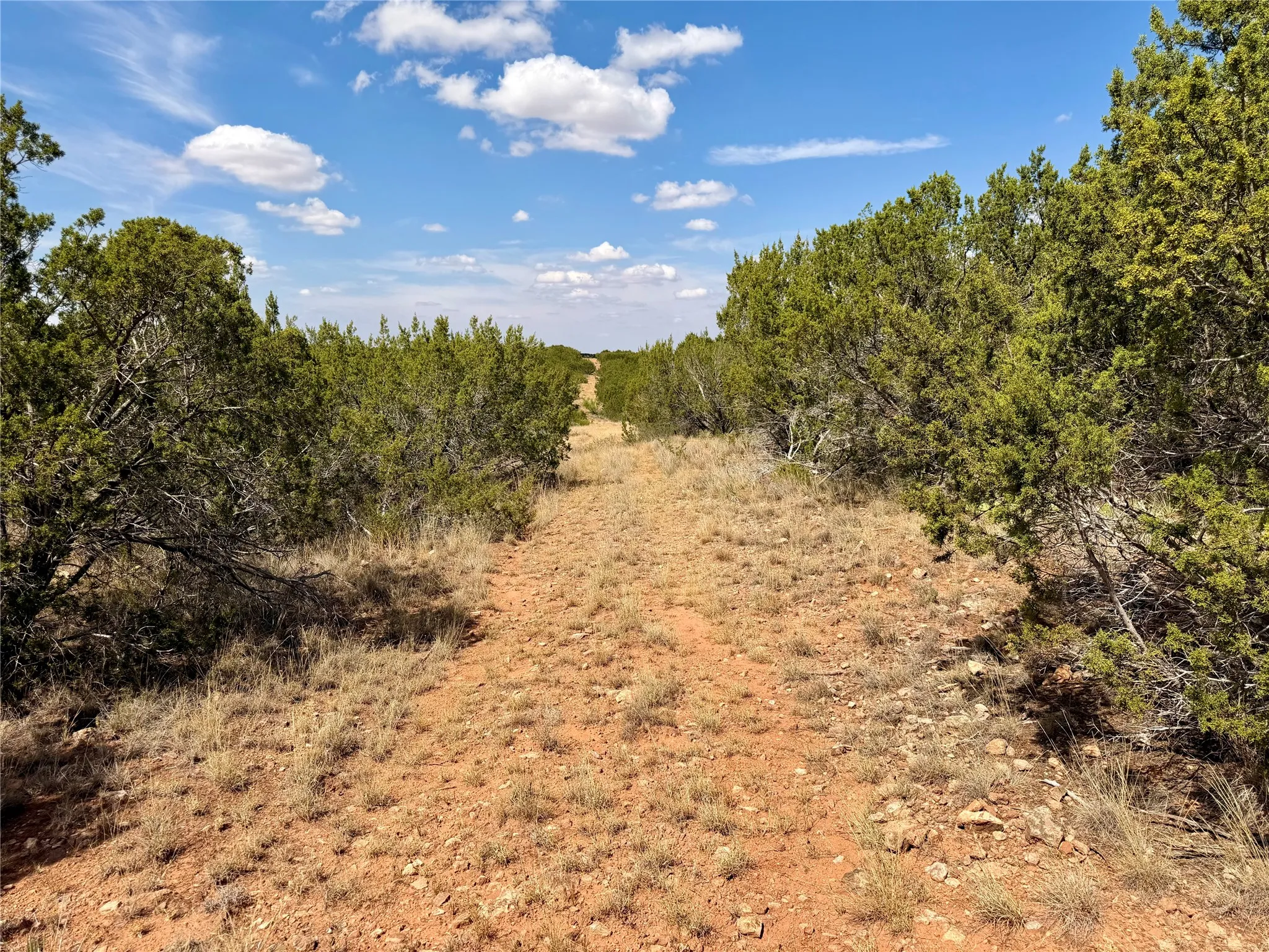Ranch For Sale in Nolan County , 1880 FM 2035, Sweetwater, Texas 79556, 0, 0, Garage spaces, 0 Sqft, built in 2024, mls#21397005, Real Estate Agent in Sweetwater, Homes For Sale in Nolan county, Homes For Sale in Sweetwater, Realtor in Sweetwater Texas, Real Estate Brokerage Independent Realty Texas, Luminita Cordes Realtor