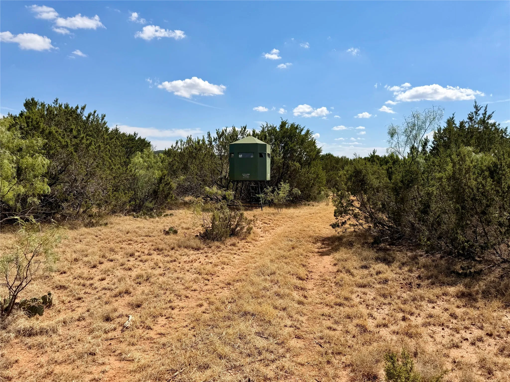 Ranch For Sale in Nolan County , 1880 FM 2035, Sweetwater, Texas 79556, 0, 0, Garage spaces, 0 Sqft, built in 2024, mls#21397005, Real Estate Agent in Sweetwater, Homes For Sale in Nolan county, Homes For Sale in Sweetwater, Realtor in Sweetwater Texas, Real Estate Brokerage Independent Realty Texas, Luminita Cordes Realtor