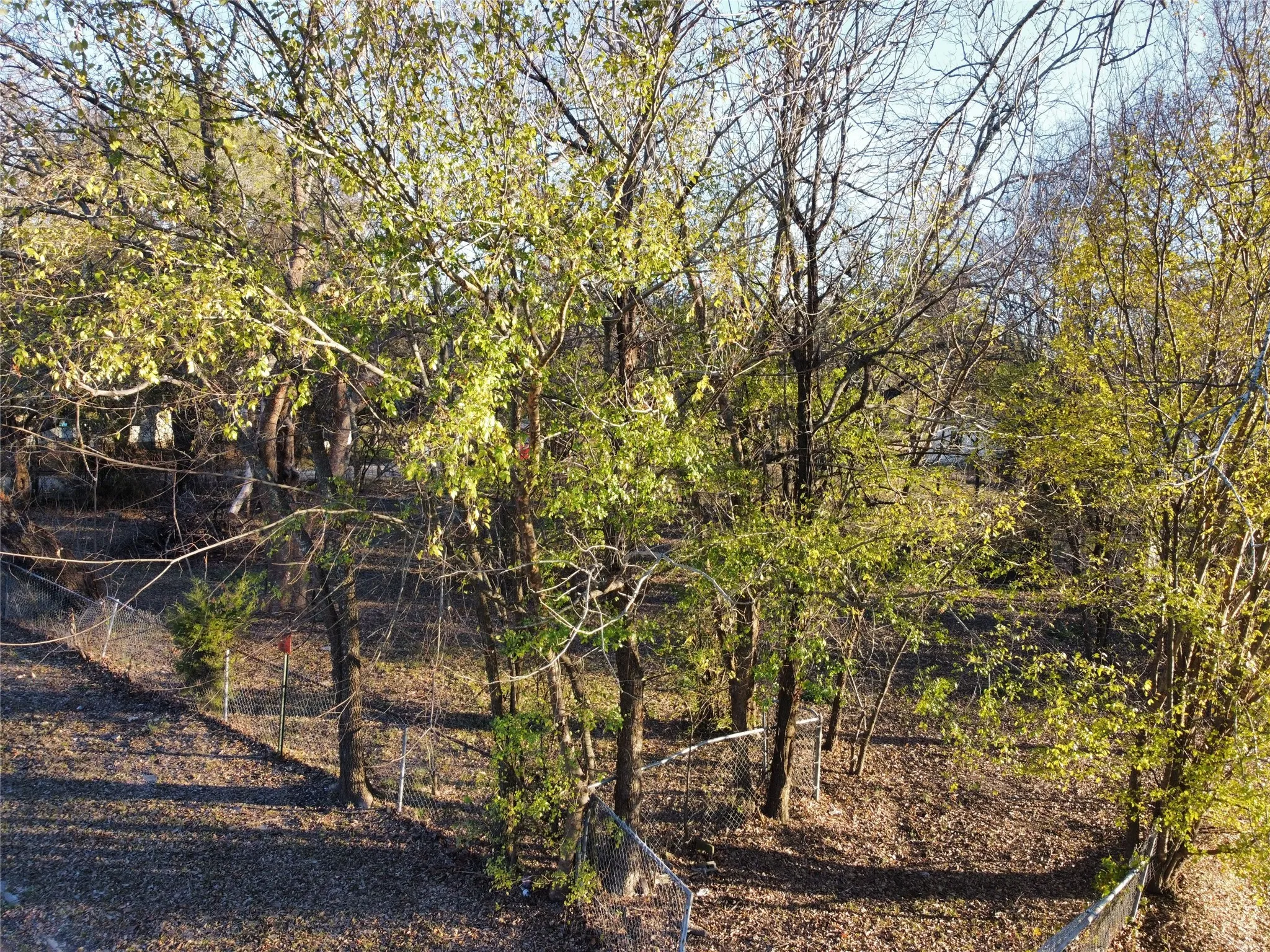 Improved Land For Sale in Delta County , 330 E Waco Avenue, Cooper, Texas 75432, 0, 0, Garage spaces, 0 Sqft, built in 0, mls#21397633, Real Estate Agent in Cooper, Homes For Sale in Delta county, Homes For Sale in Cooper, Realtor in Cooper Texas, Real Estate Brokerage Independent Realty Texas, Luminita Cordes Realtor