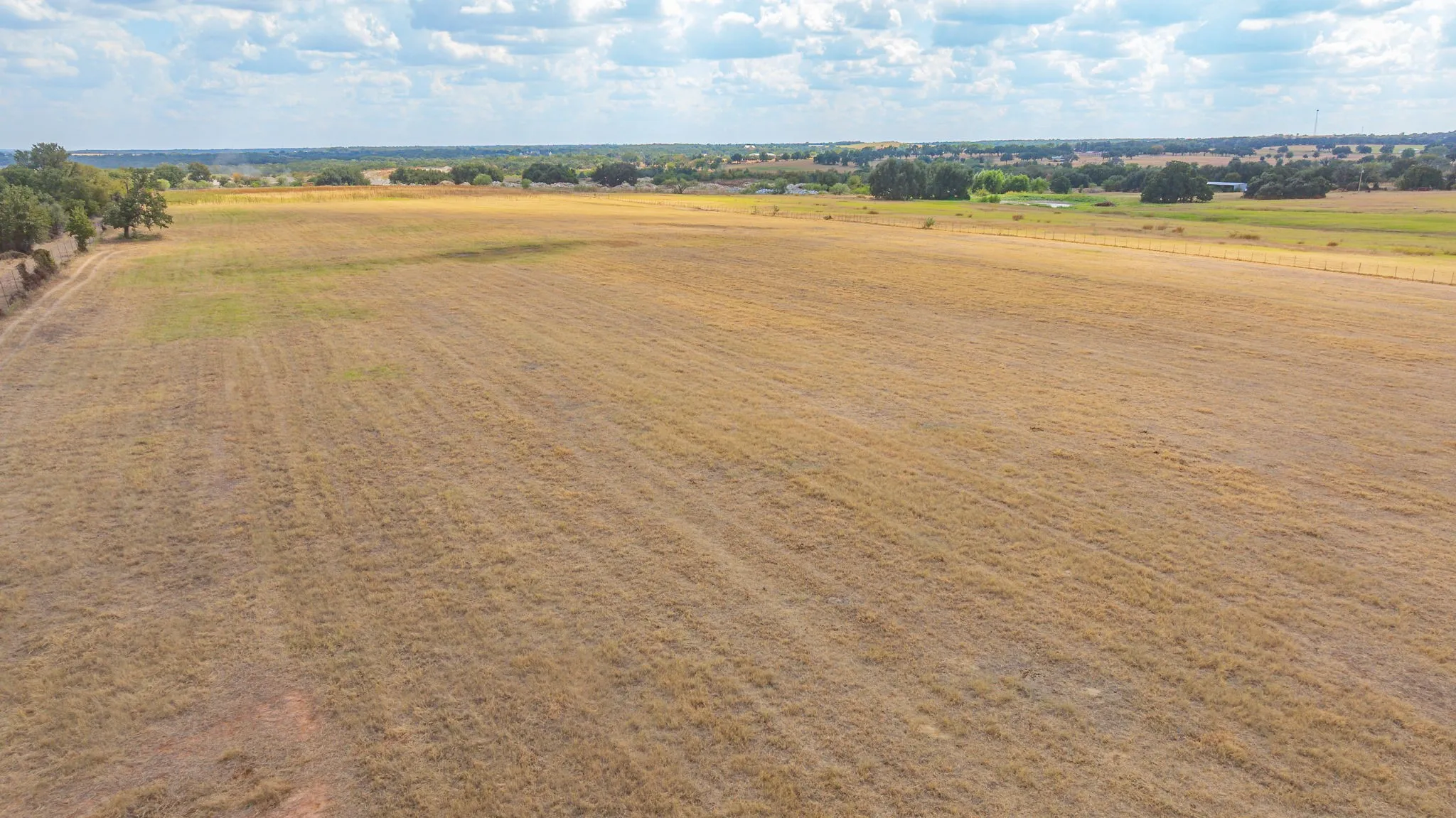 Expansive open field with scattered trees along the perimeter and distant foliage