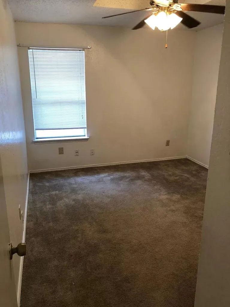 Carpeted room featuring a ceiling fan with integrated lighting and a window with blinds