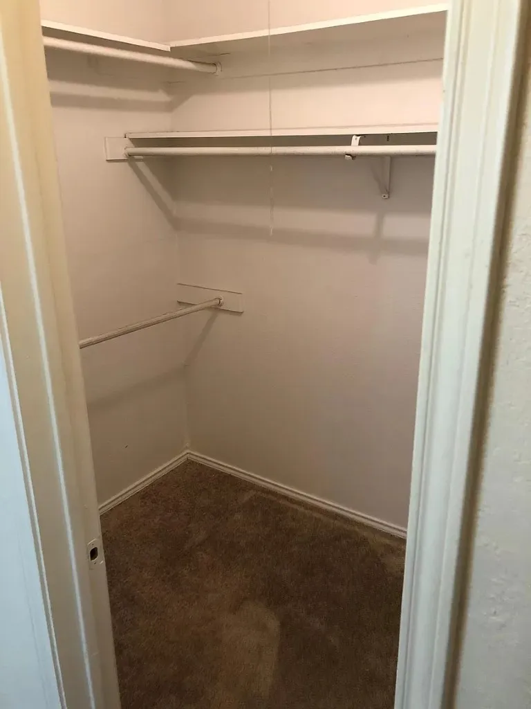 Carpeted closet with white walls and built-in shelving