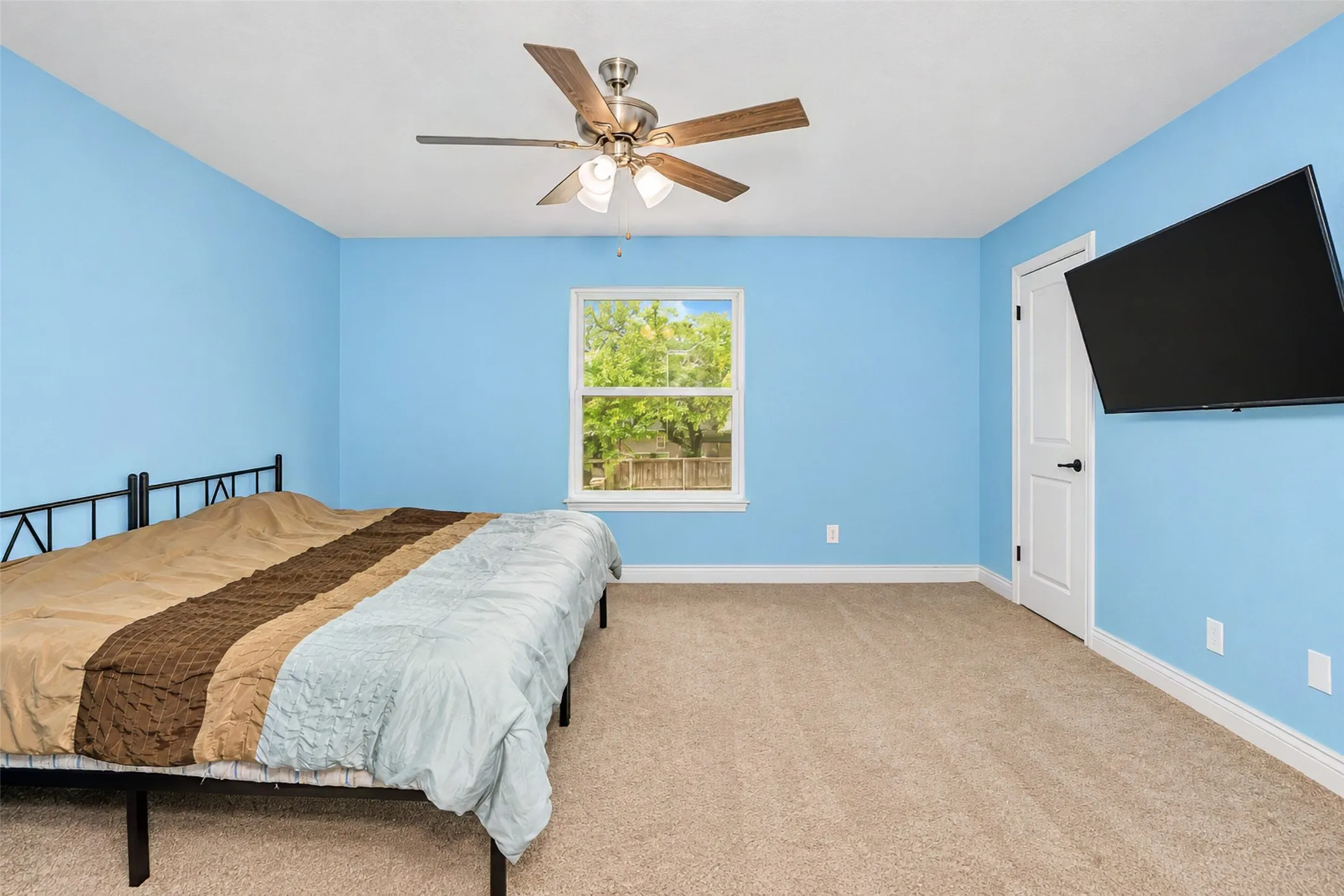 Carpet flooring, white trim, single window, white paneled door, and a ceiling fan with light fixture