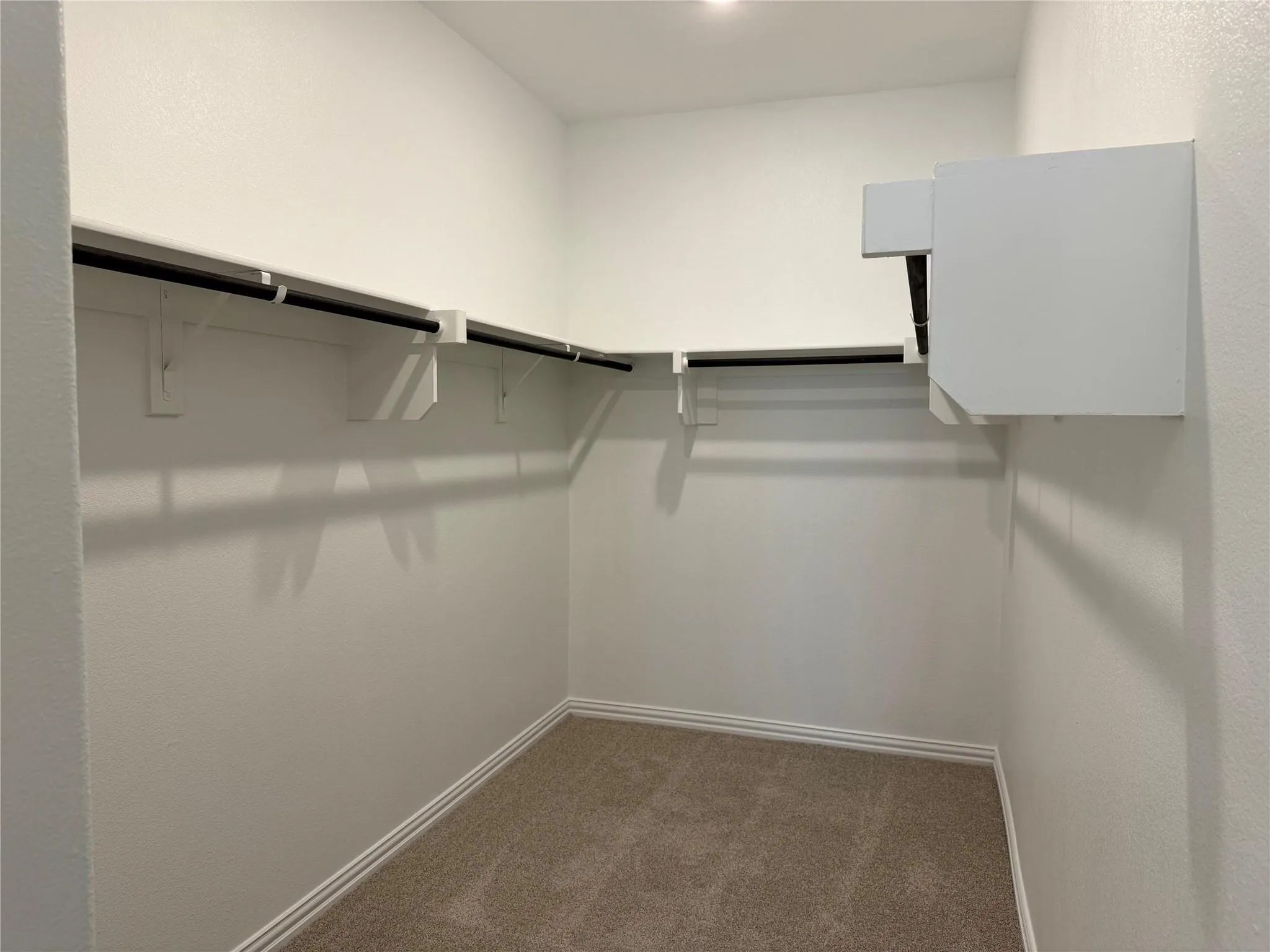 Walk-in closet with integrated shelving, hanging rods, and carpet flooring