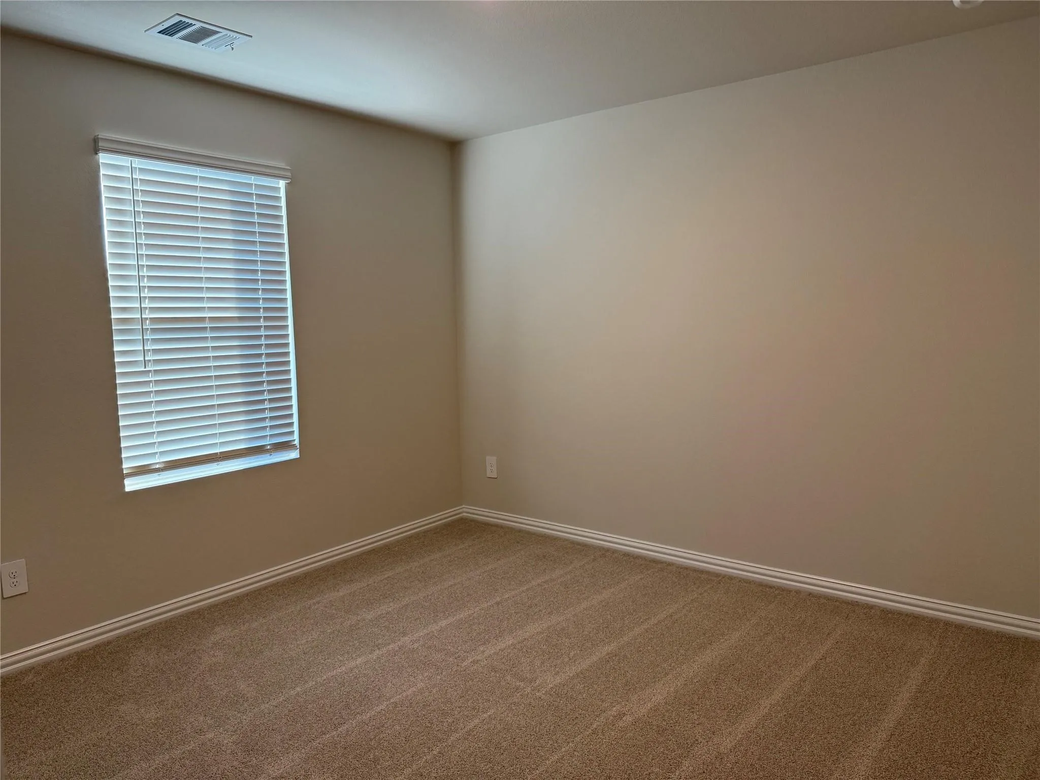 Neutral tone wall paint, carpeted flooring, and window with blinds