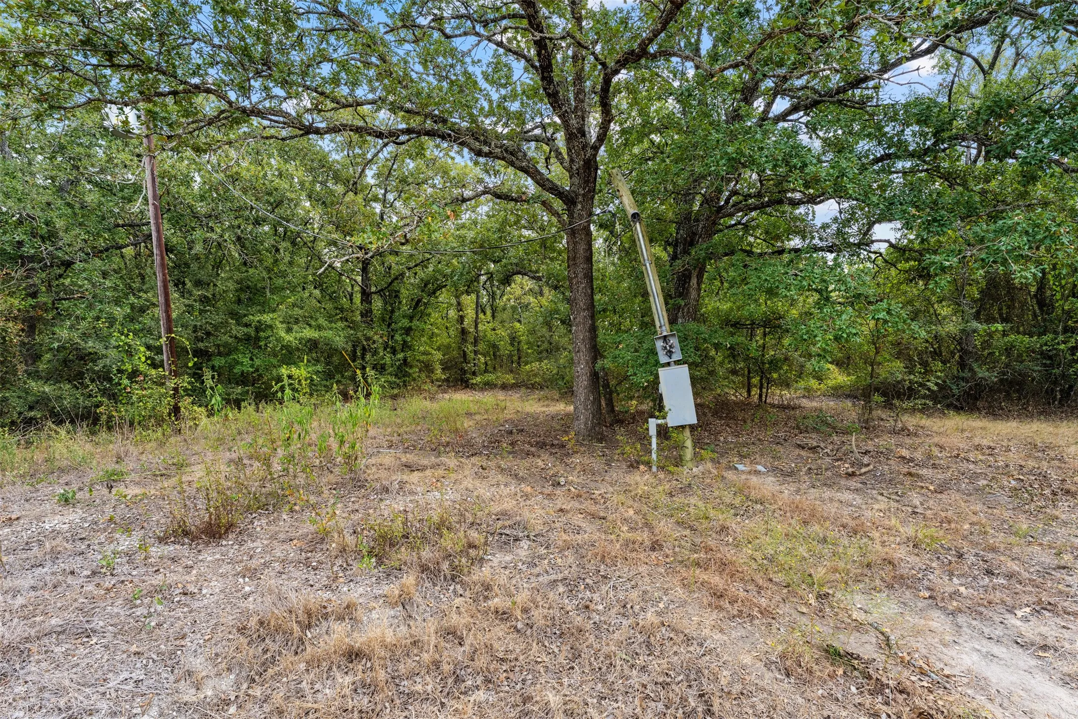 Unimproved Land For Sale in Mc Lennan County , 172 M Burton Street, Riesel, Texas 76682, 0, 0, Garage spaces, 0 Sqft, built in 0, mls#21391915, Real Estate Agent in Riesel, Homes For Sale in Mc Lennan county, Homes For Sale in Riesel, Realtor in Riesel Texas, Real Estate Brokerage Independent Realty Texas, Luminita Cordes Realtor